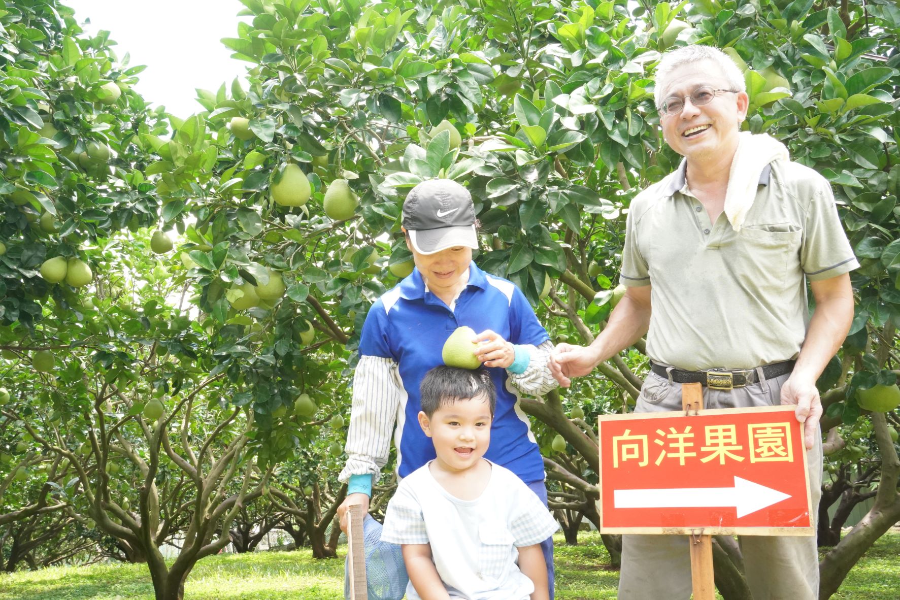 青山及向洋果園9月2日起開放園區體驗，報名採預約制，無成團人數限制，歡迎民眾把握產季趕快報名
