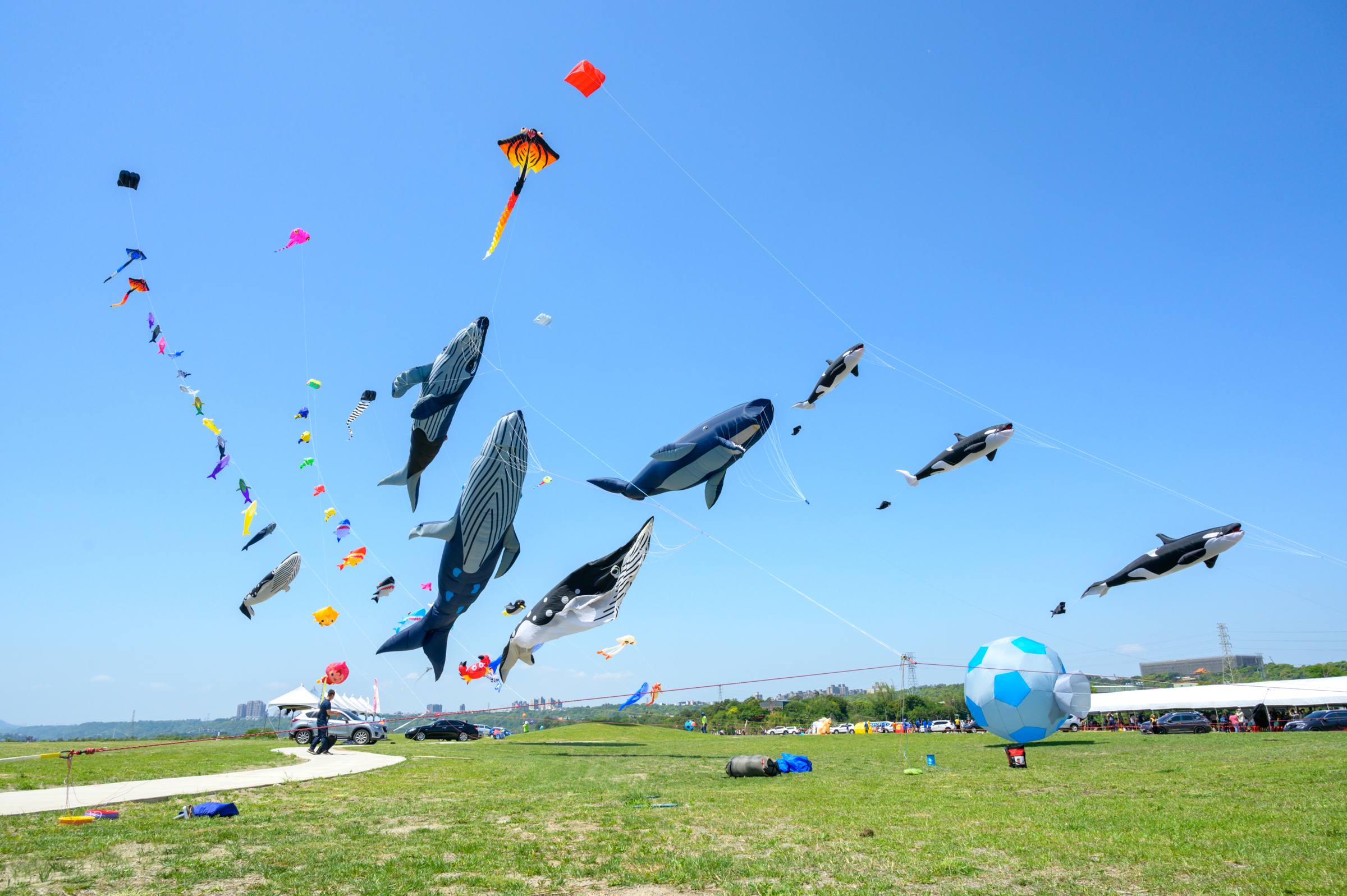 2023福隆生活節-追海風「奇幻海洋風箏嘉年華」邀請「亞洲國際風箏聯合會」展現專業風箏技藝。(照片由亞洲國際風箏聯合會提供)