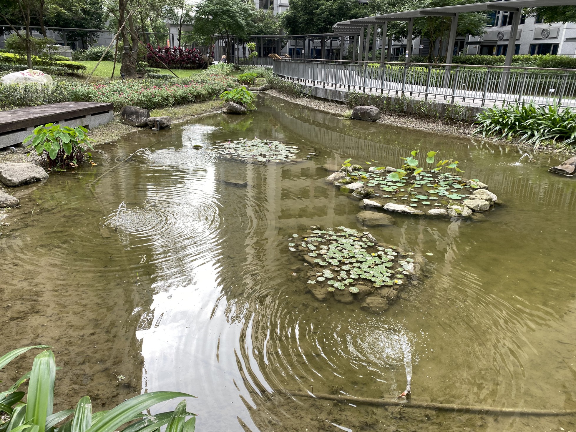 5.日勝幸福A6東區社區生態池可調節溫度並提升生物多樣性