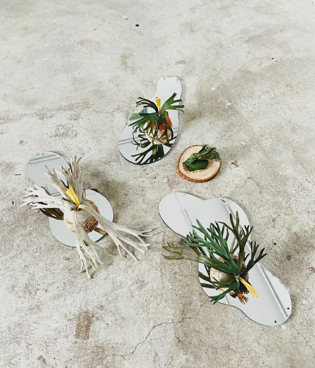 新北市青年局與台藝大再次聯合策展，將於9月27日起由設計品牌「嬤嬤 MurMur」以《仿生植物創作：蕨境》為題，展開一系列作品展。