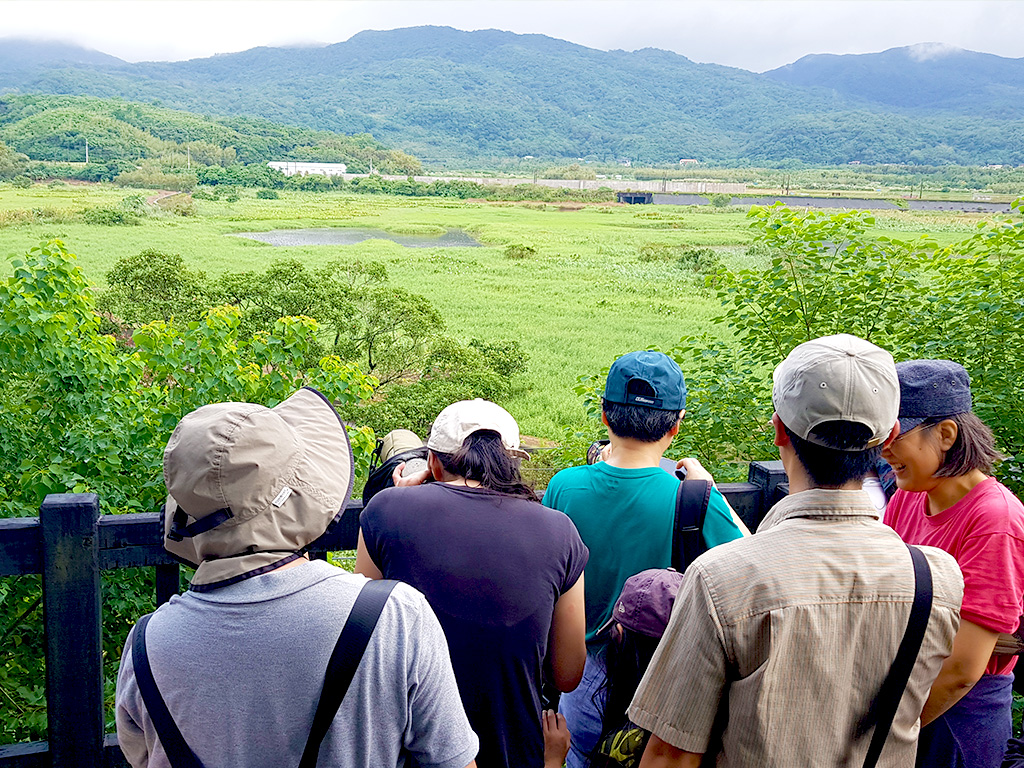 「信鳥到站．田寮洋冬藏小旅行」跟隨專業的生態講師，一窺冬候鳥的棲息地