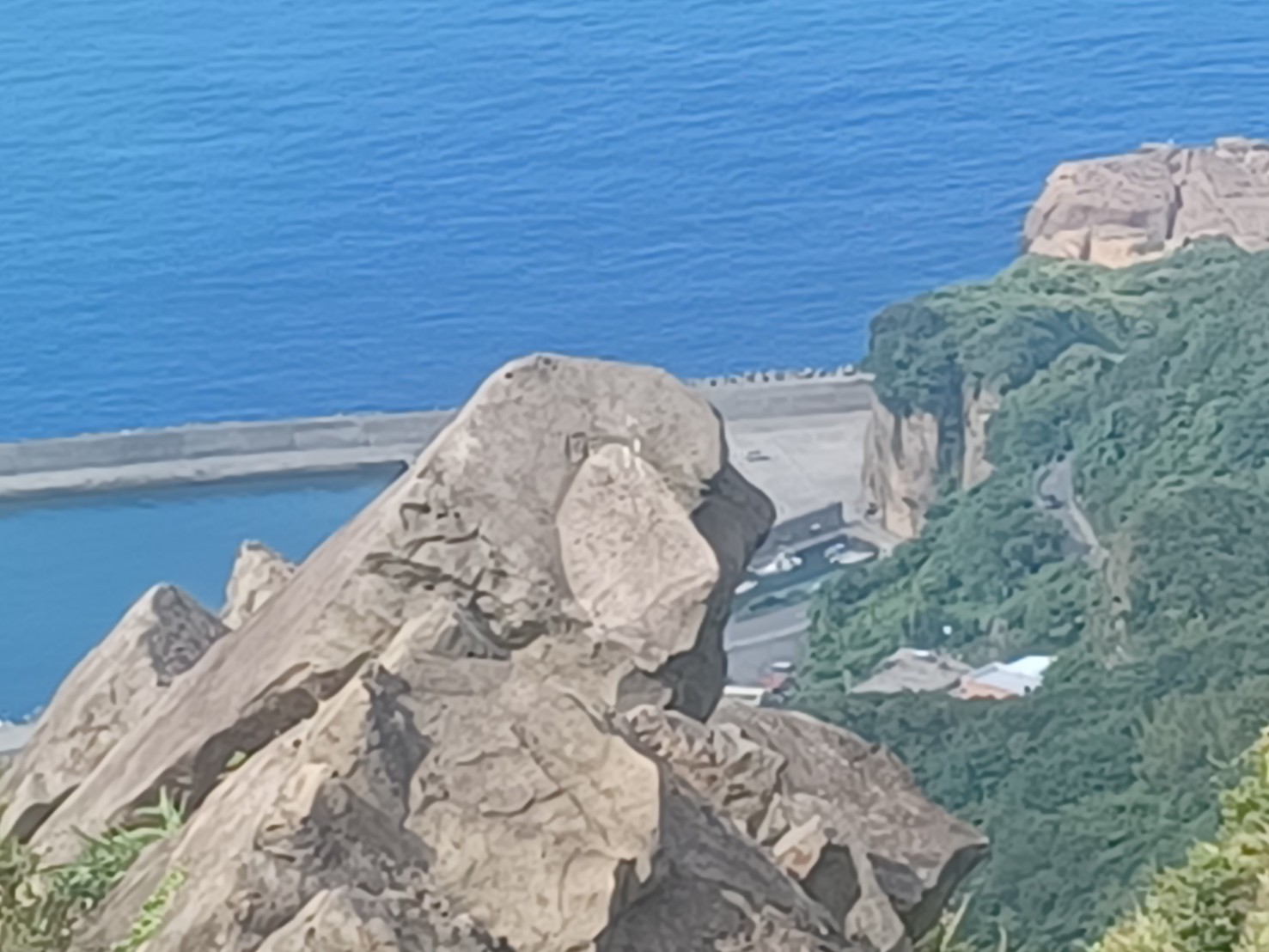 黃金獵犬岩像隻黃金獵犬望向水湳洞陰陽海般的萌樣