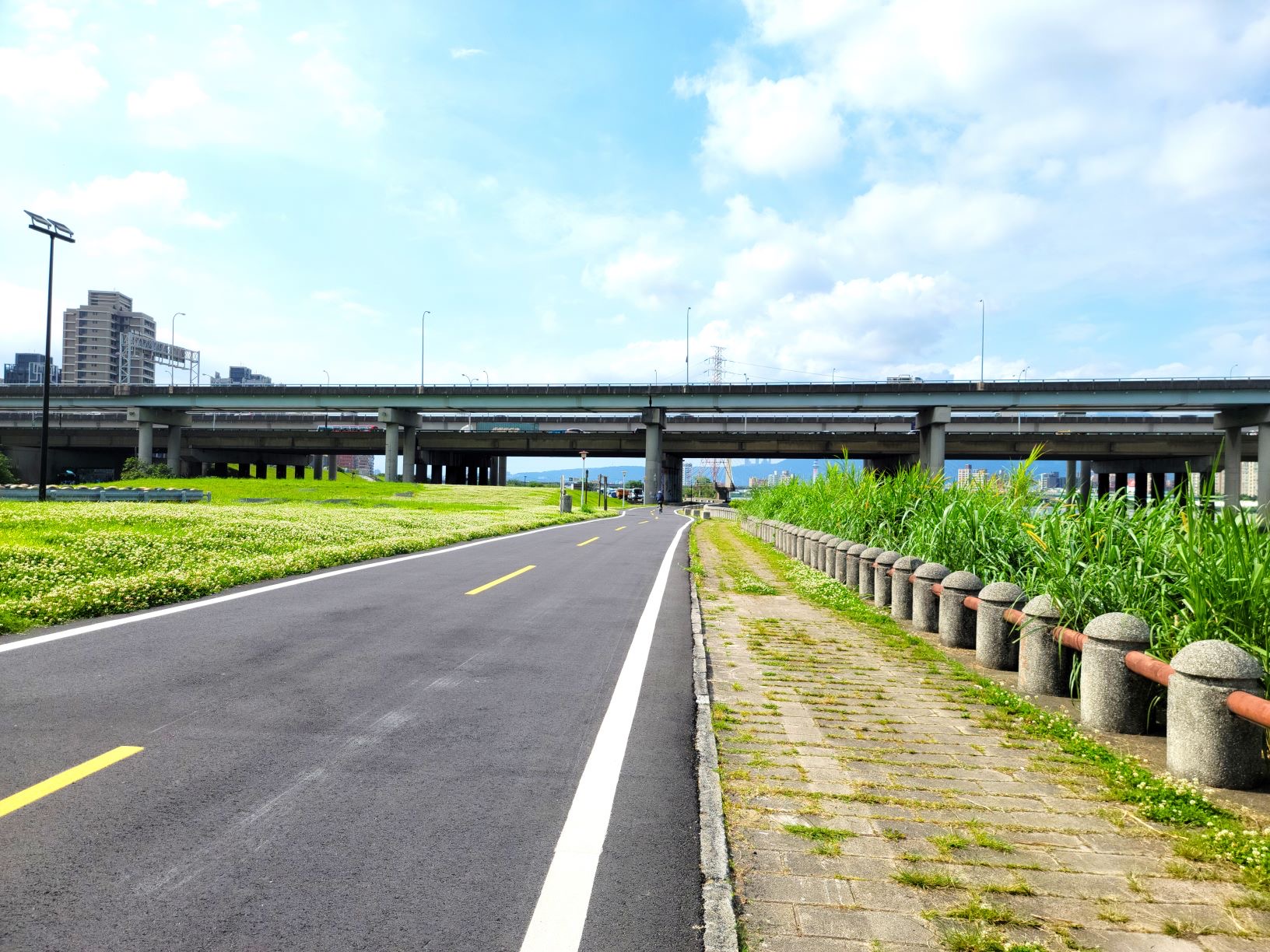 淡水河畔高速公路橋下施工後照片