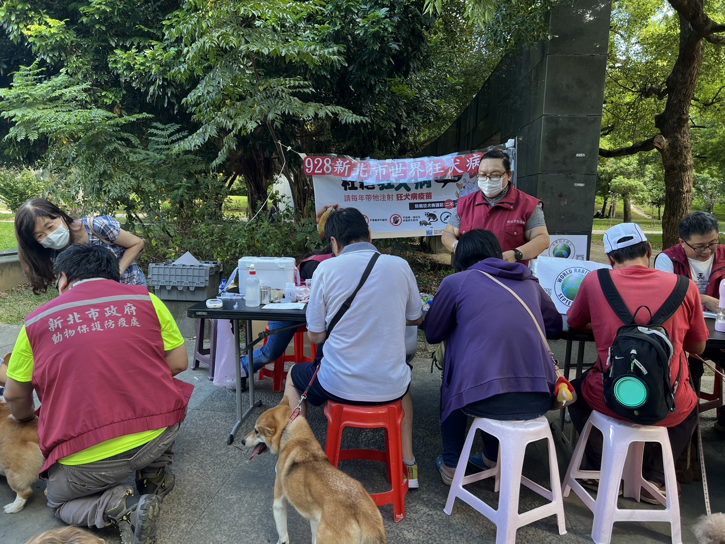 提醒飼主每年應補強一劑狂犬病疫苗，保護寵物安全
