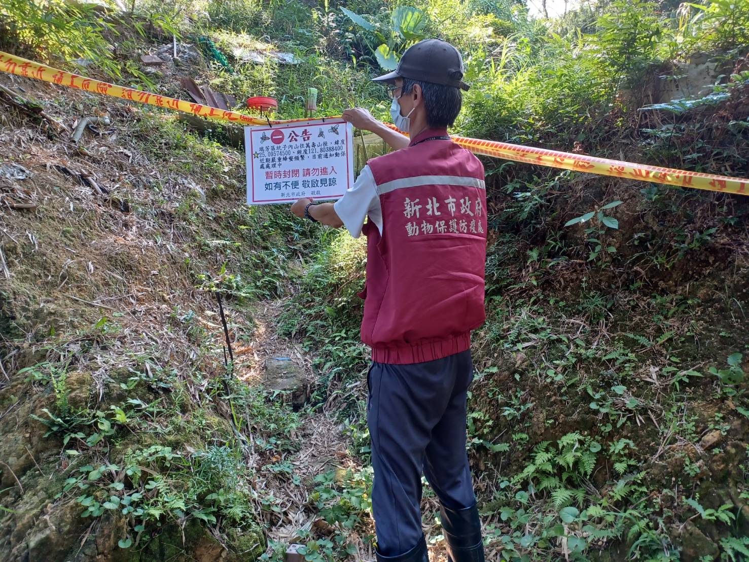 9月20日瑞芳三爪子坑路蜂螫，動保處第一時間與瑞芳區公所、消防人員確認封鎖路段