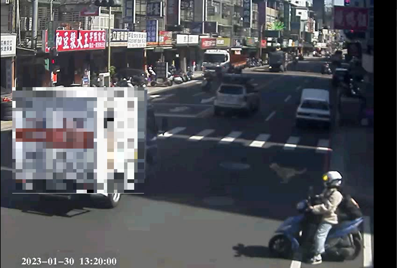 流浪犬闖入馬路上(非本案)