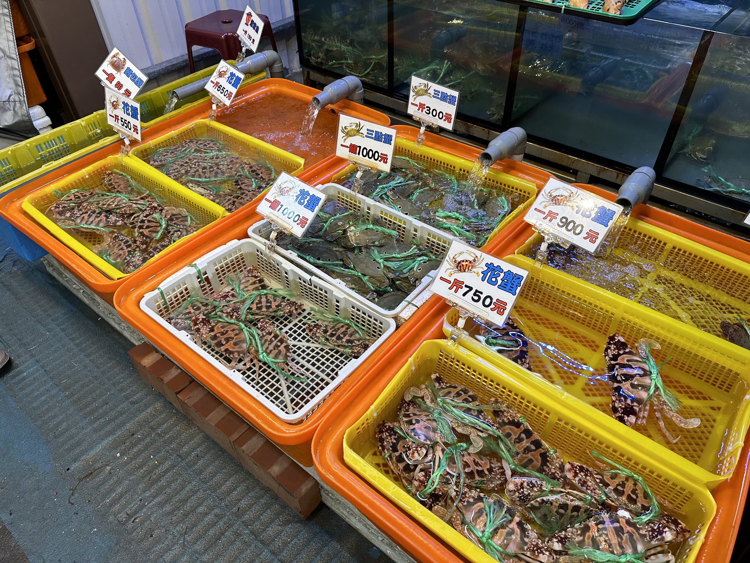 圖2-肥美萬里蟹來襲，品嚐美味正當季