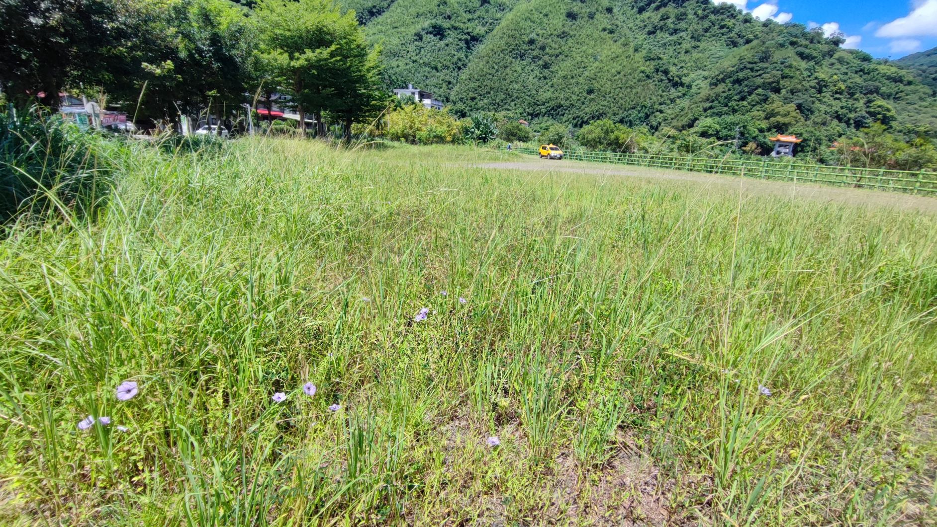 廣興河濱公園-灘地區施工前雜草叢生，缺乏動線規劃