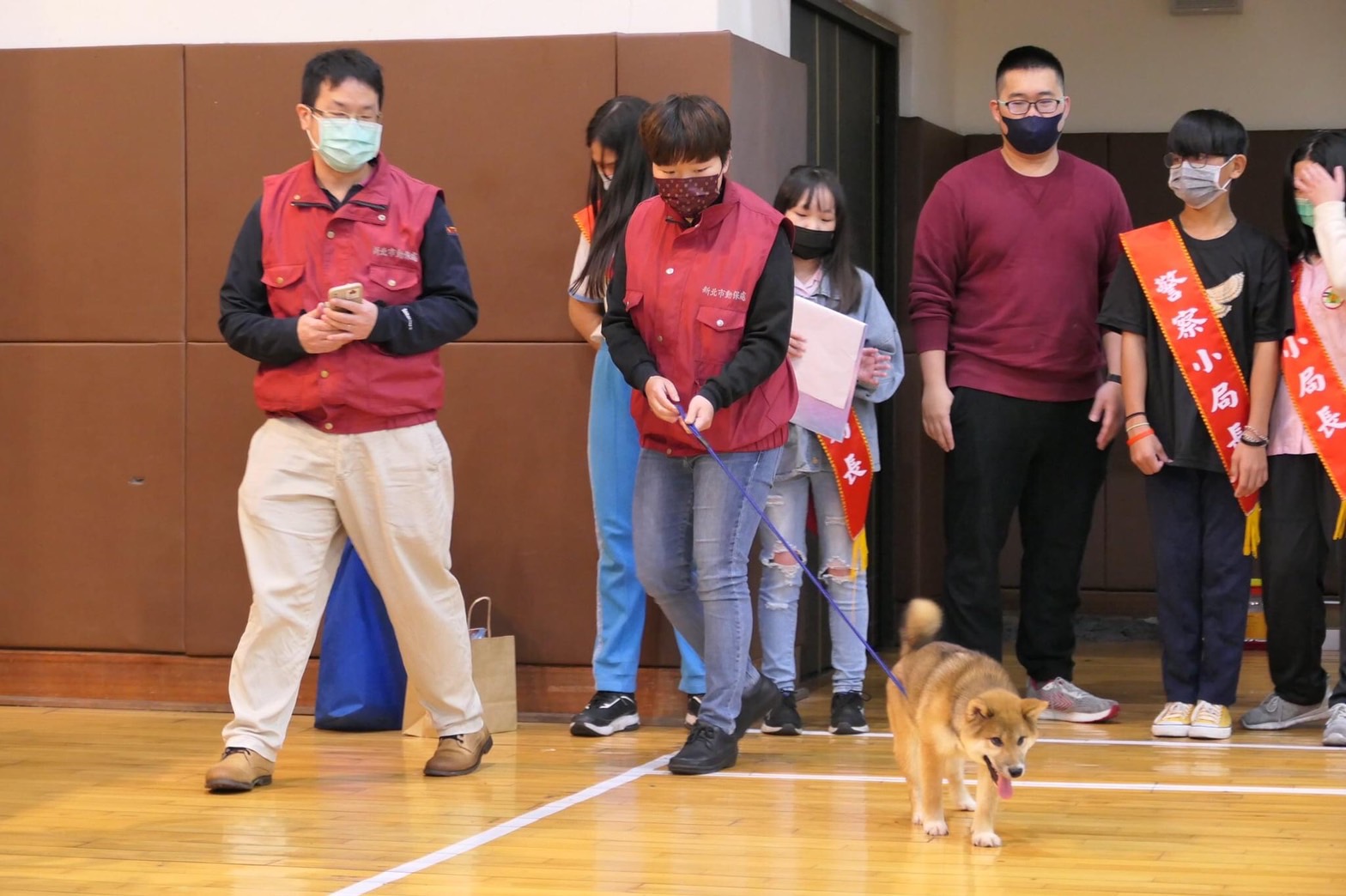 新北市五股國小在111年認養了「旺柴」、「柴哥」為校園犬
