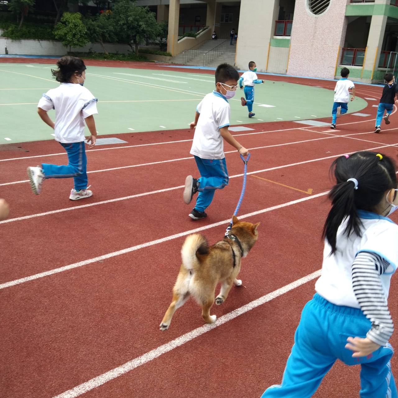 柴哥在校園內陪同學生一起跑步、一起學習