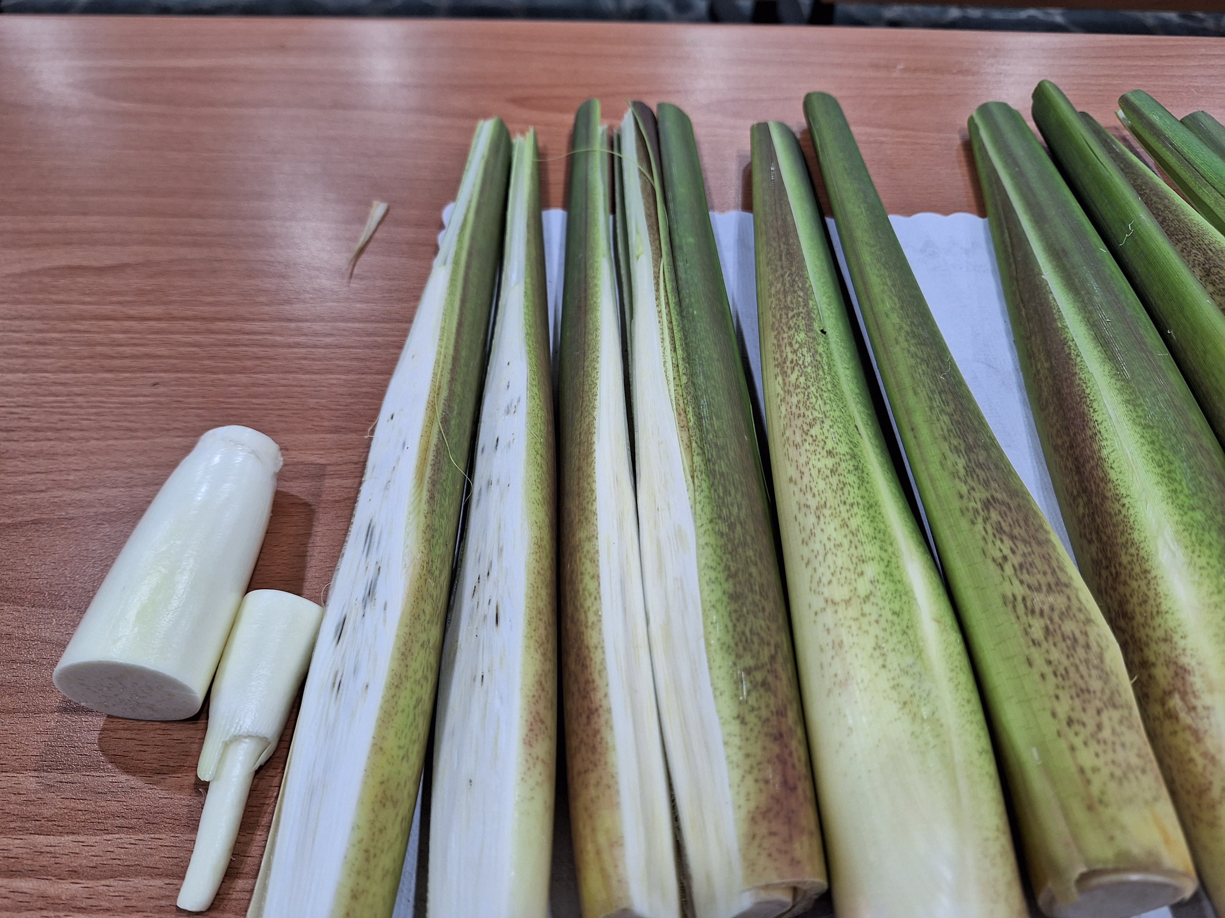 茭白筍上的黑點是「黑穗菌」吃下肚對人體有益，而且能讓茭白筍長得又白又嫩嫩、美味可口。