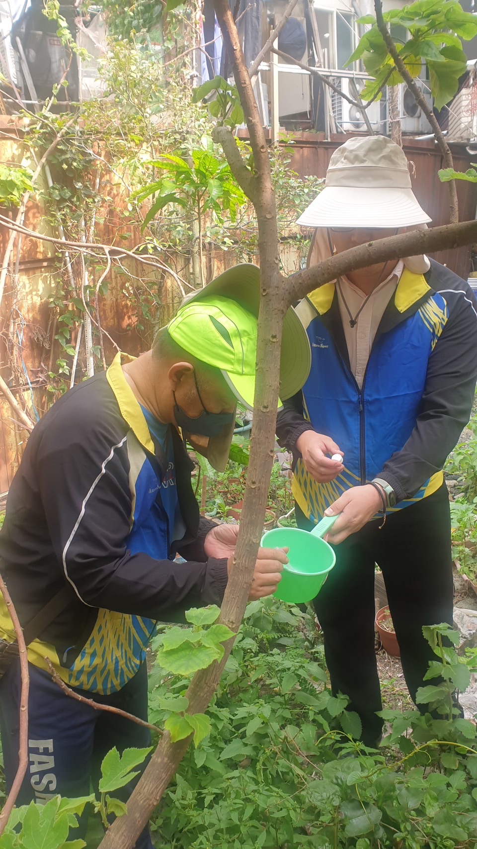 4.板橋區江翠里陳國卿先生教授里民各種觀賞及可食用藥草植物的培育知識