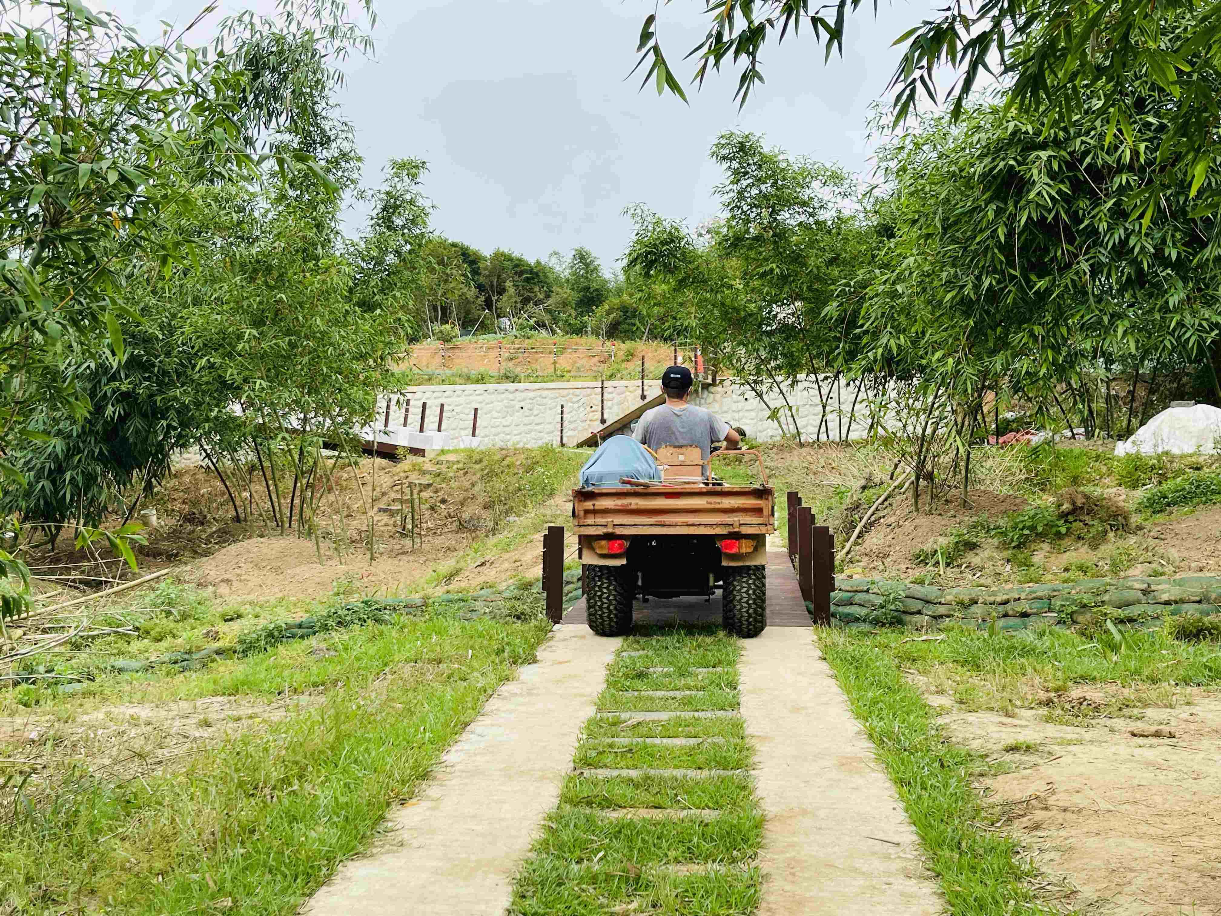  綠竹社區搬運道改善後，筍農利用搬運道運輸農用工具或農產品
