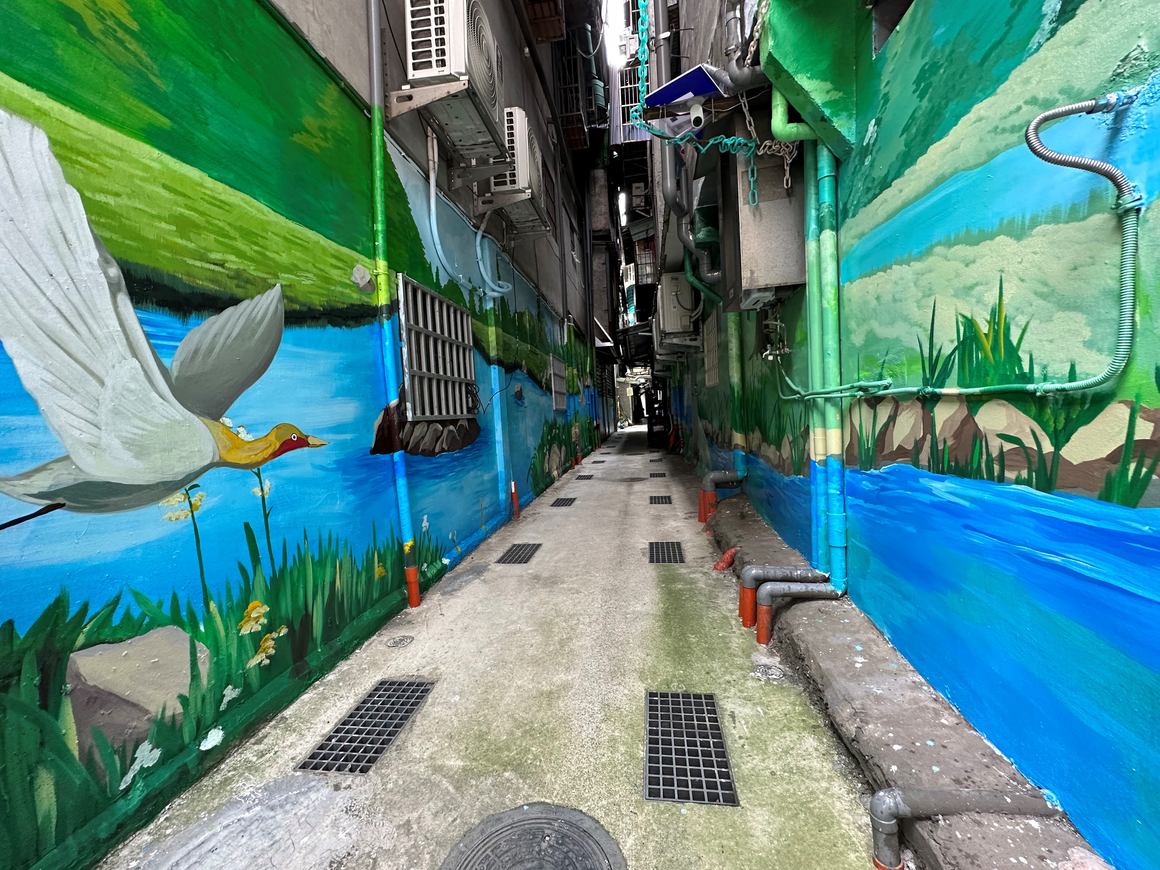 跟著水鳥走入後巷濕地，開始探索吧!(新莊裕民里)