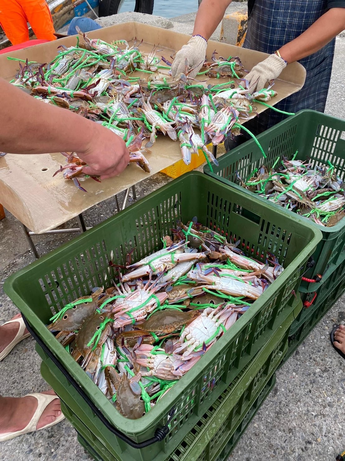 富基漁港豐富的海鮮