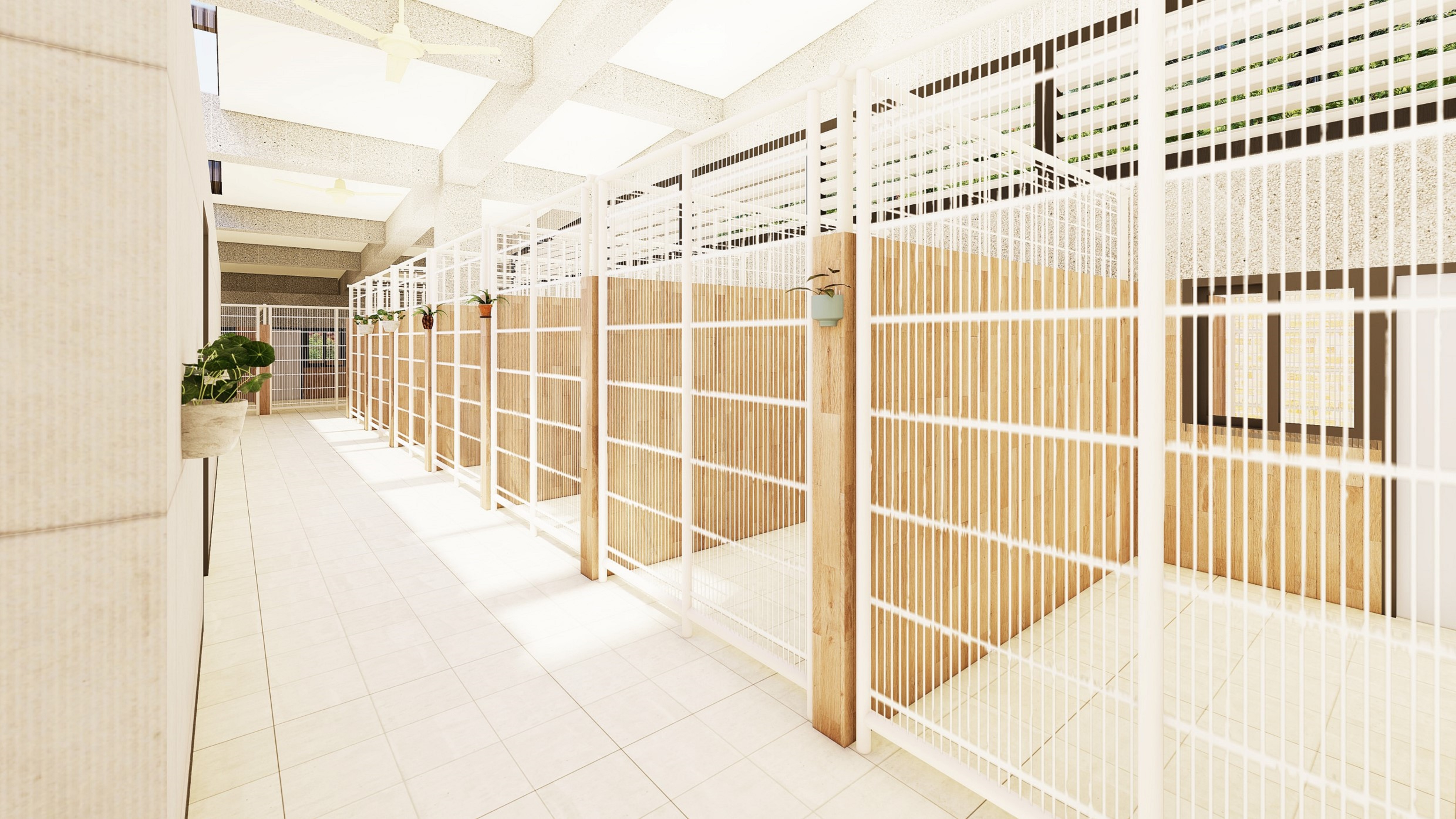 設計以動物舒適性為出發點，採用明亮色系減少動物壓迫感(犬舍模擬圖)