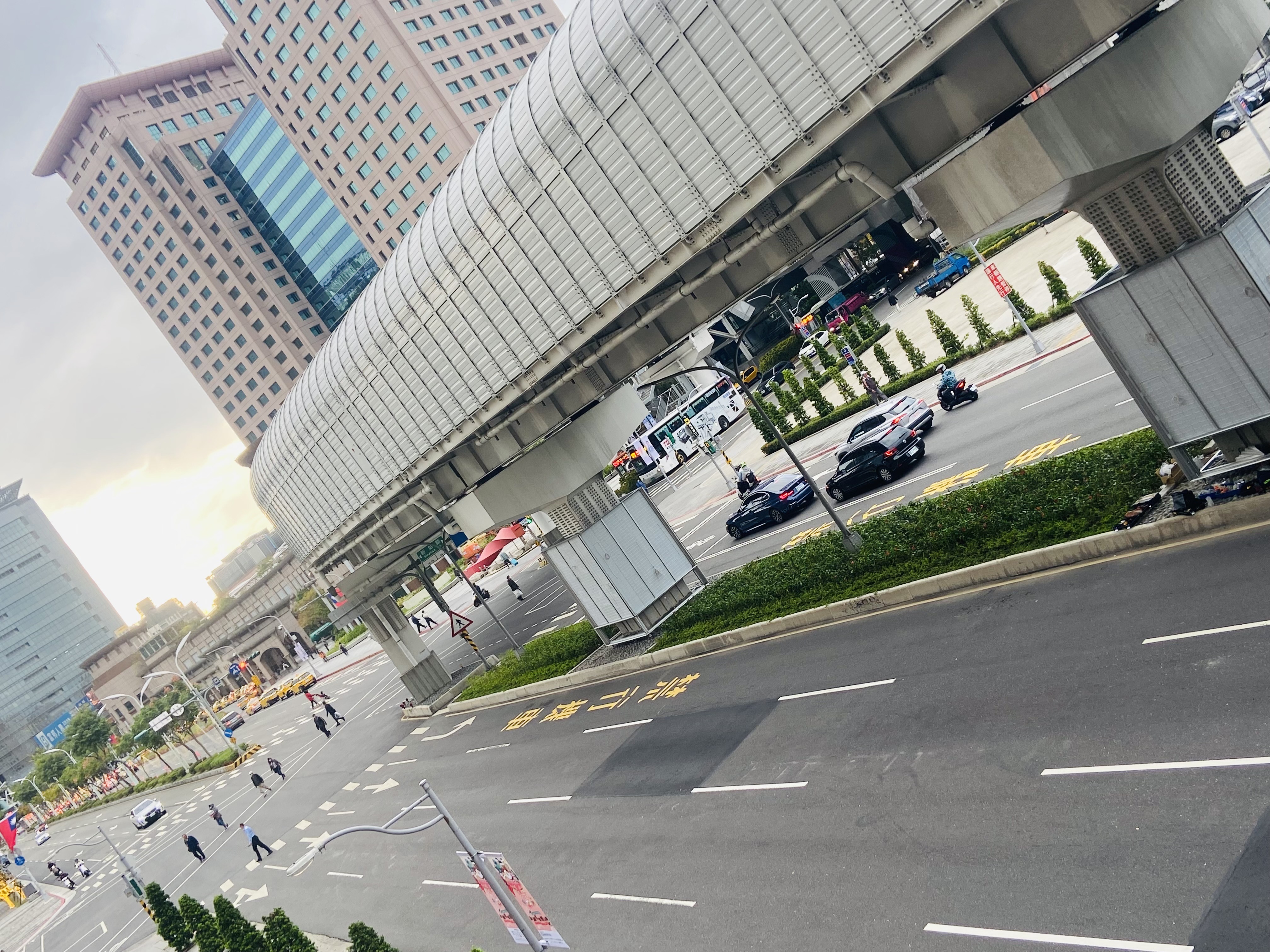 板橋縣民大道蔓花生扶桑妝點街景