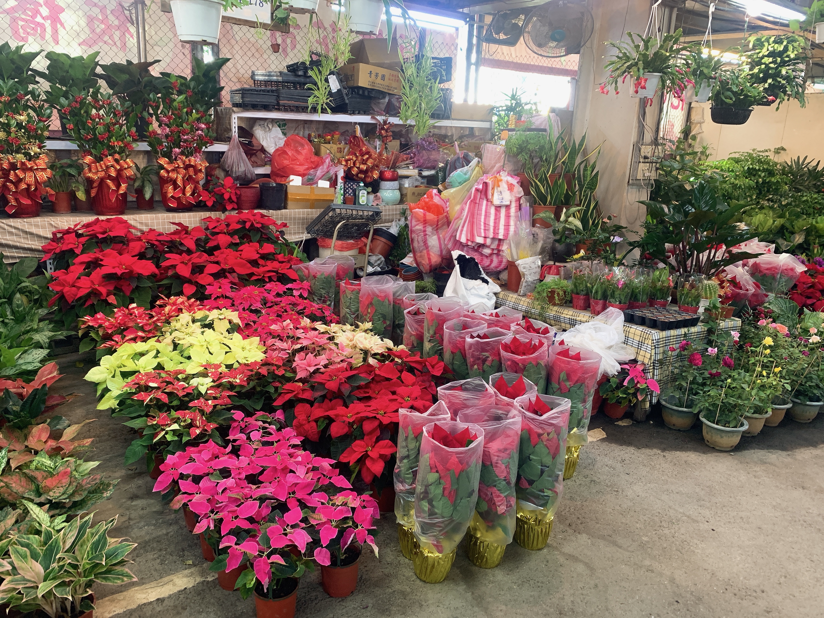 花市攤販增添耶誕氛圍