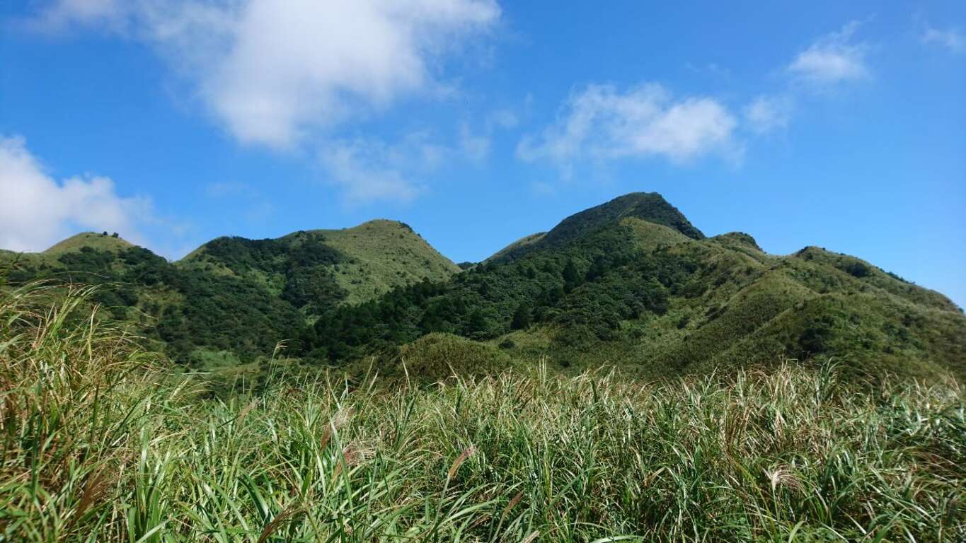 「燦光寮」地處幽靜、視野遼闊，放眼望去山海美景盡收，是新北令人驚艷的獨特大景，改編自侯文詠經典小說的影集《人浮於愛》及摘下台北文創劇作獎的電影《深度安靜》皆慕名借用。