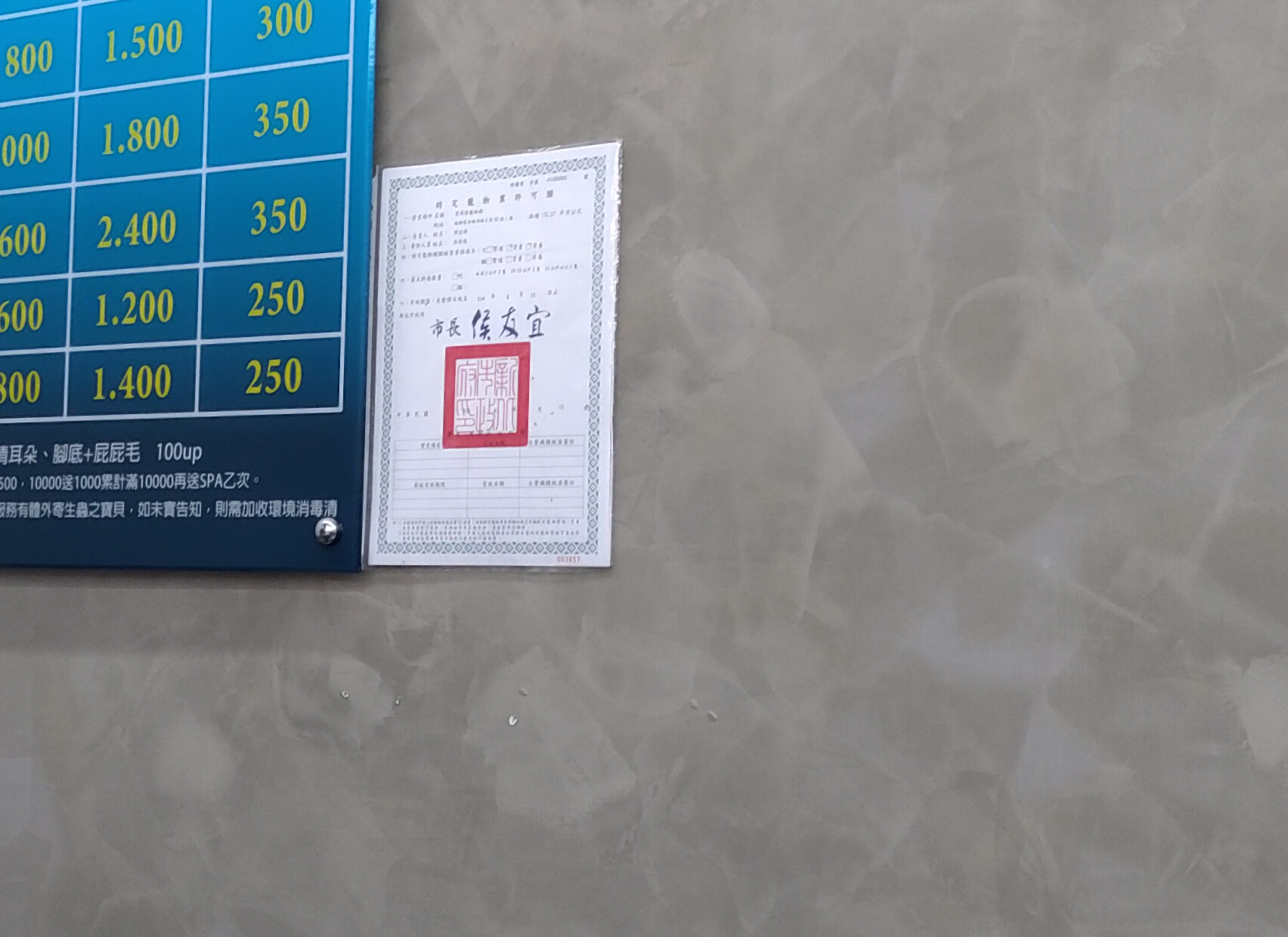 店內明顯處有動保處核發特定寵物許可證