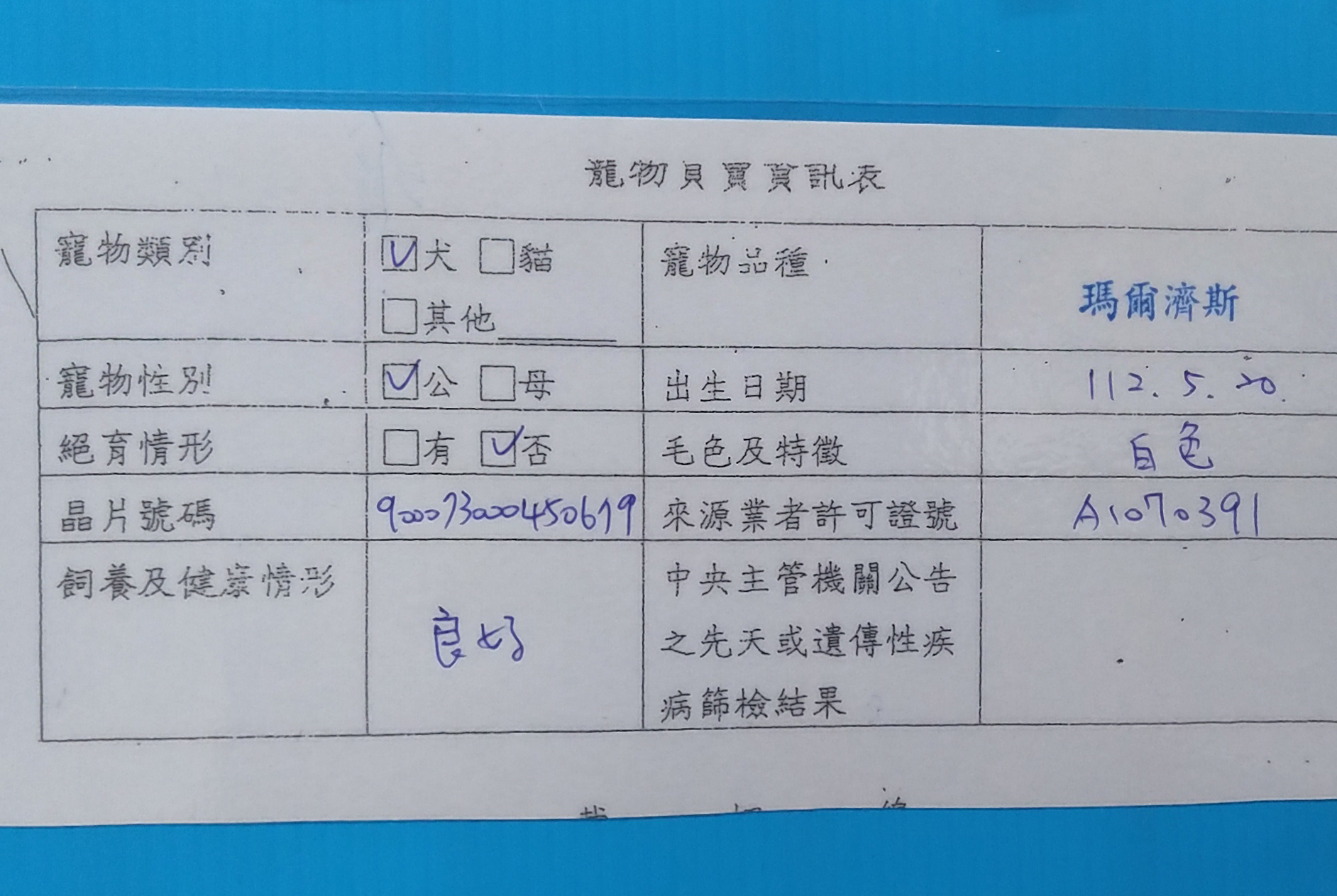 寵物店動物資料卡詳列寵物資訊