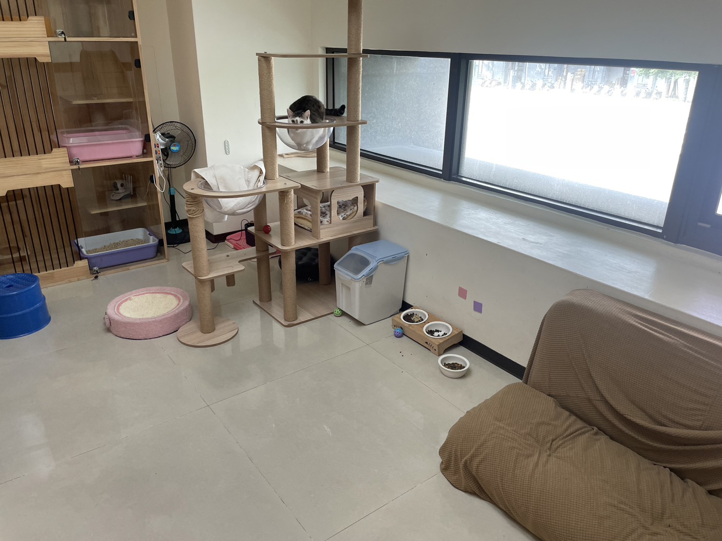 良好可活動的飼養空間