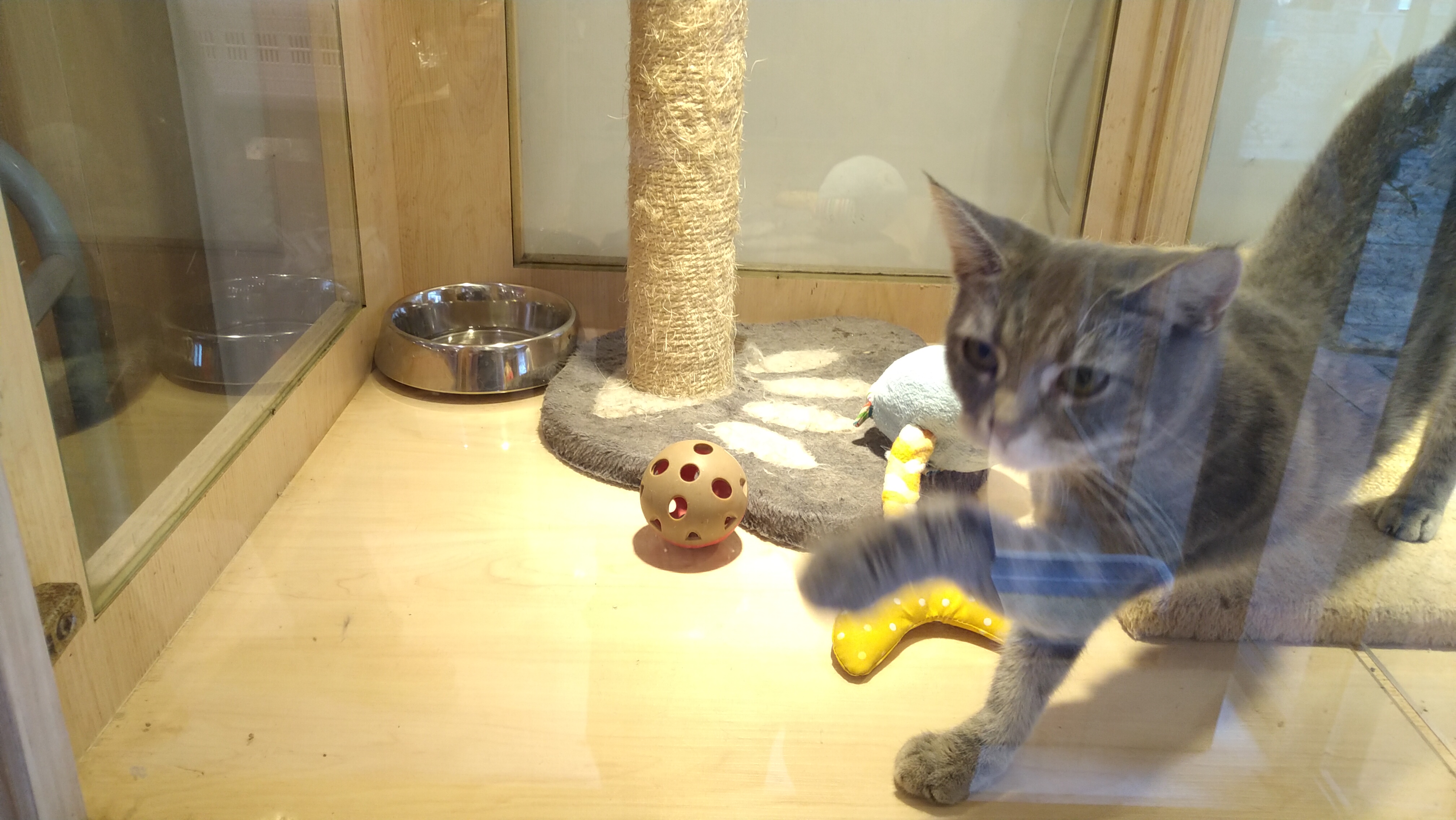 明亮乾淨的飼養環境