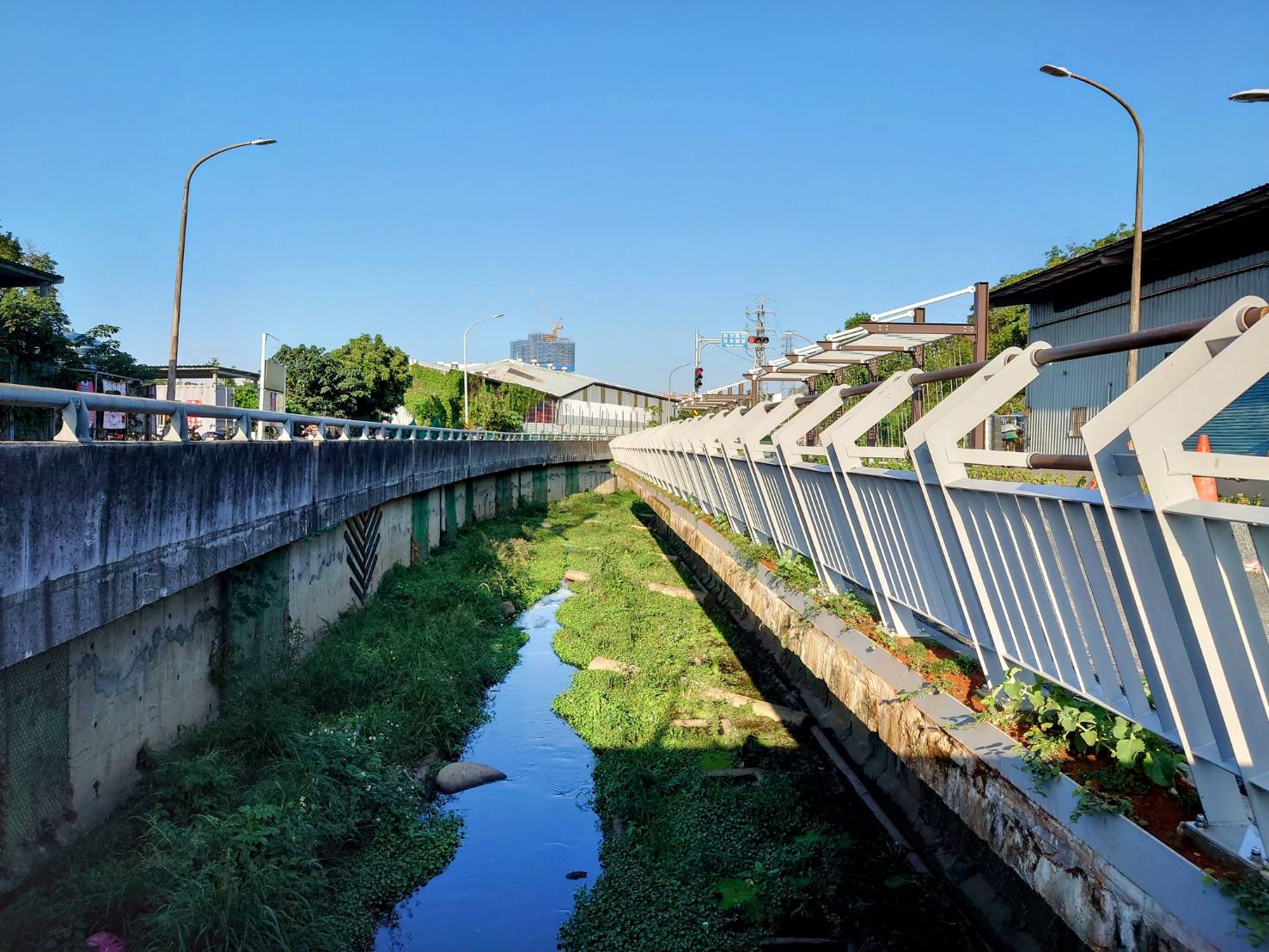 藤寮坑溝二期工程提供動植物友善棲息空間