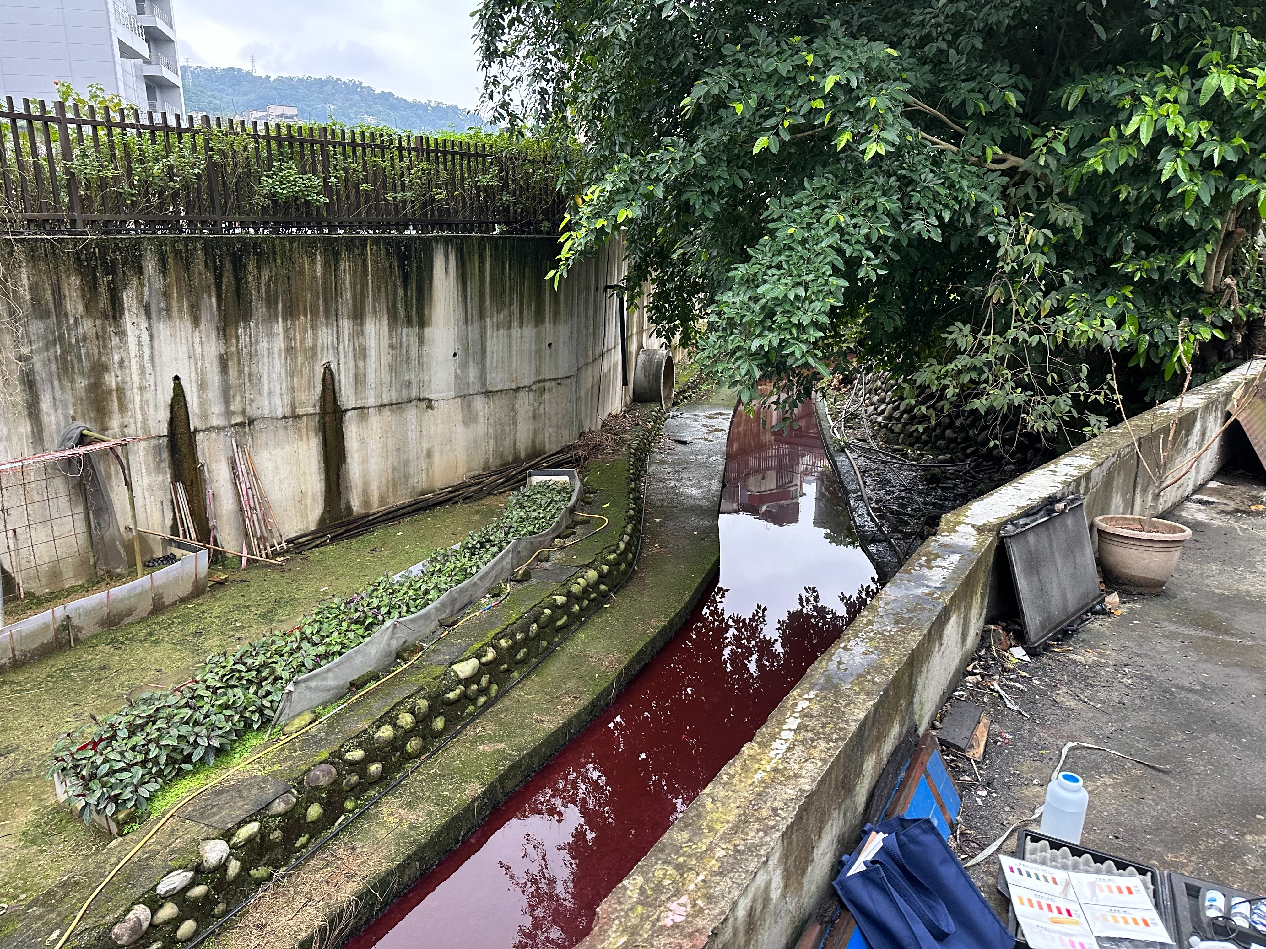 1.水溝被染紅
