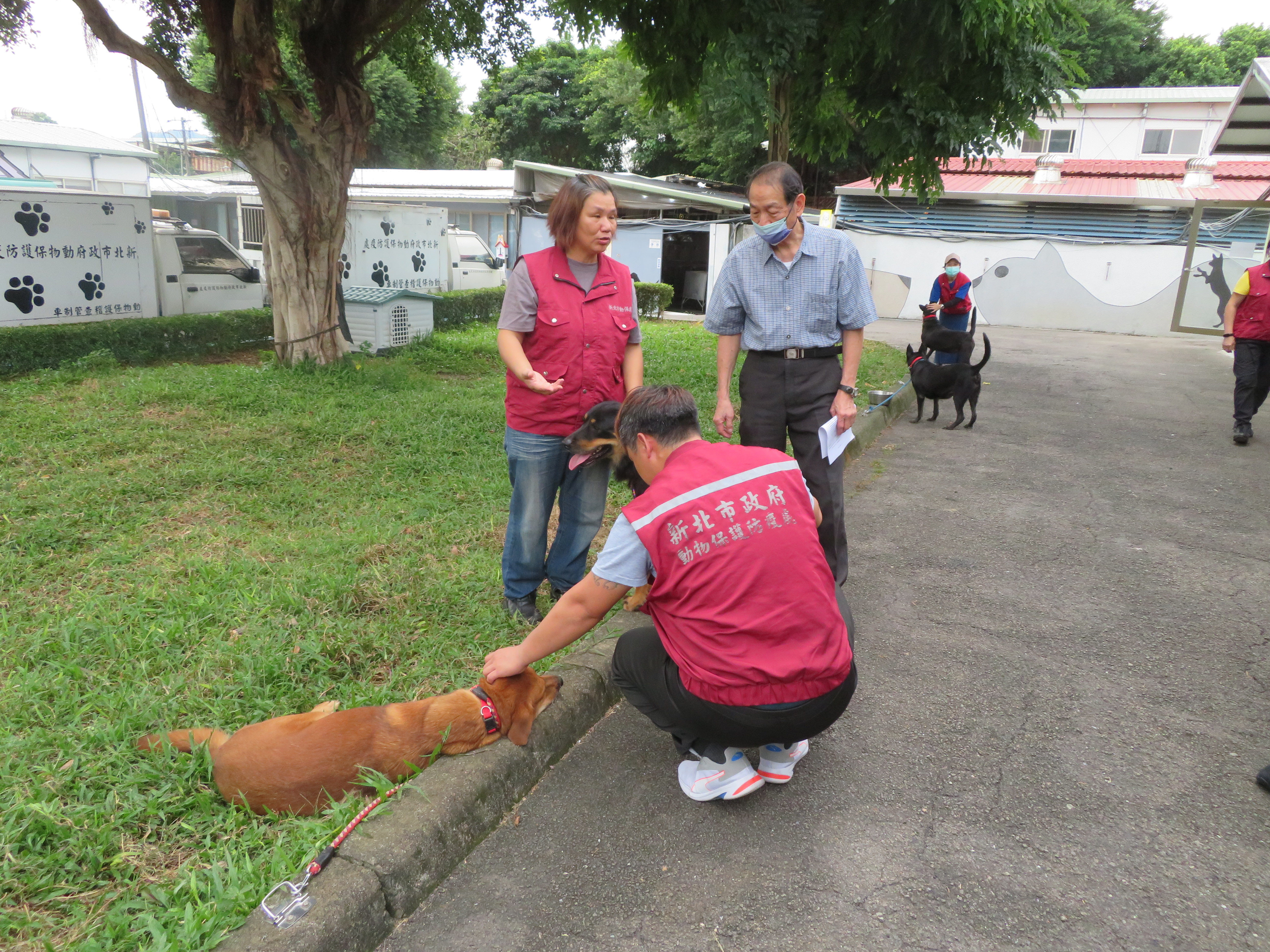 農業部評鑑委員至動物之家實地訪查