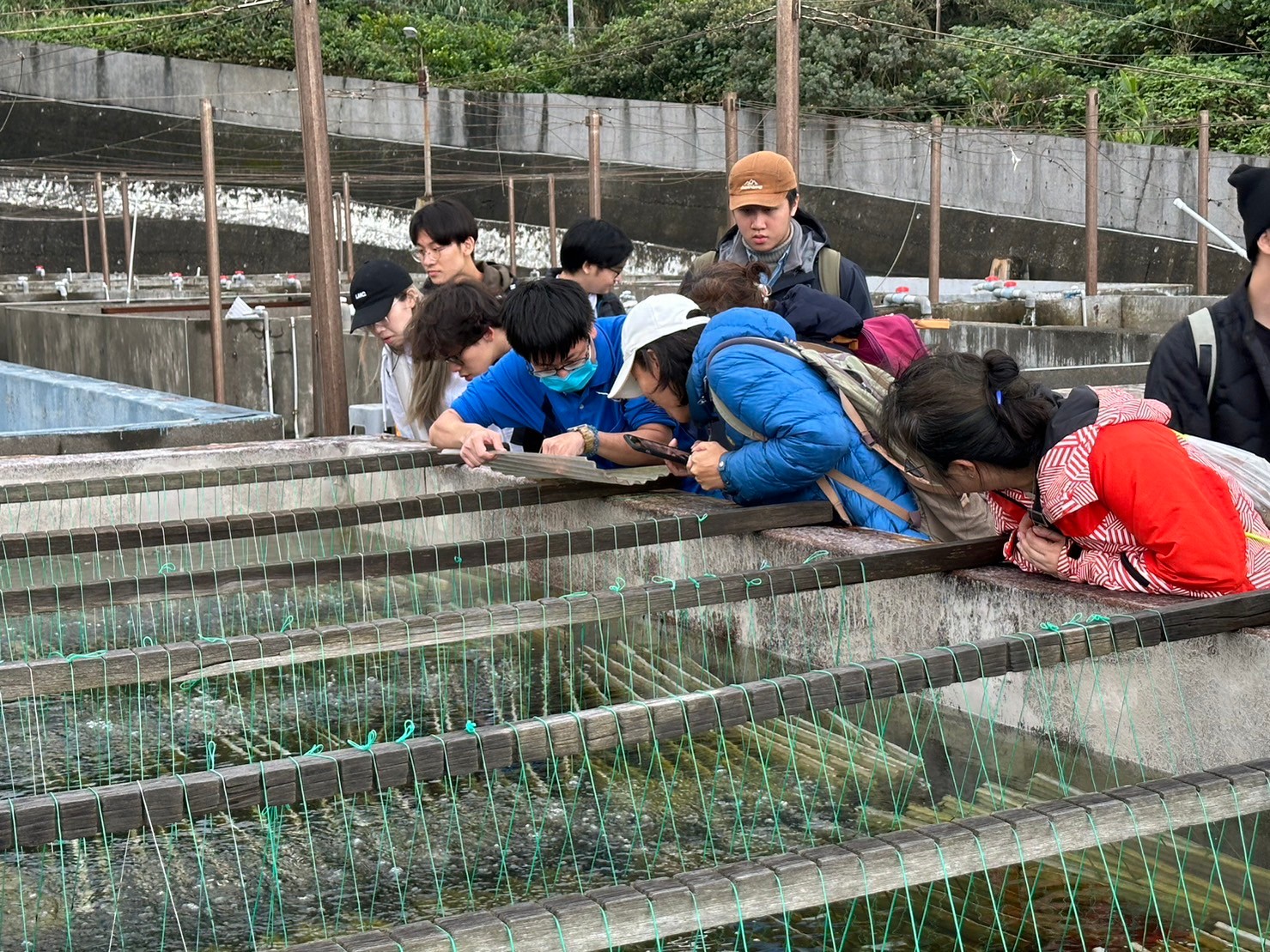 冬季限定！逗陣來貢寮海洋資源復育園區看九孔寶寶