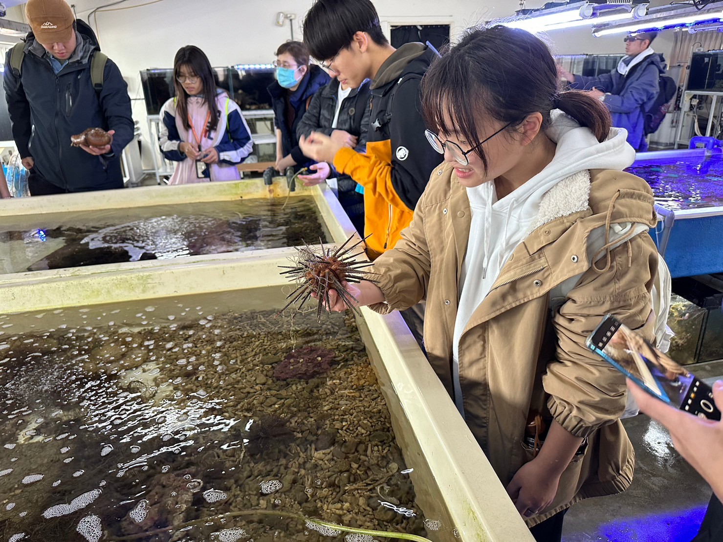 復育園區導覽活動深受民眾所喜愛的海洋生物零距離接觸體驗