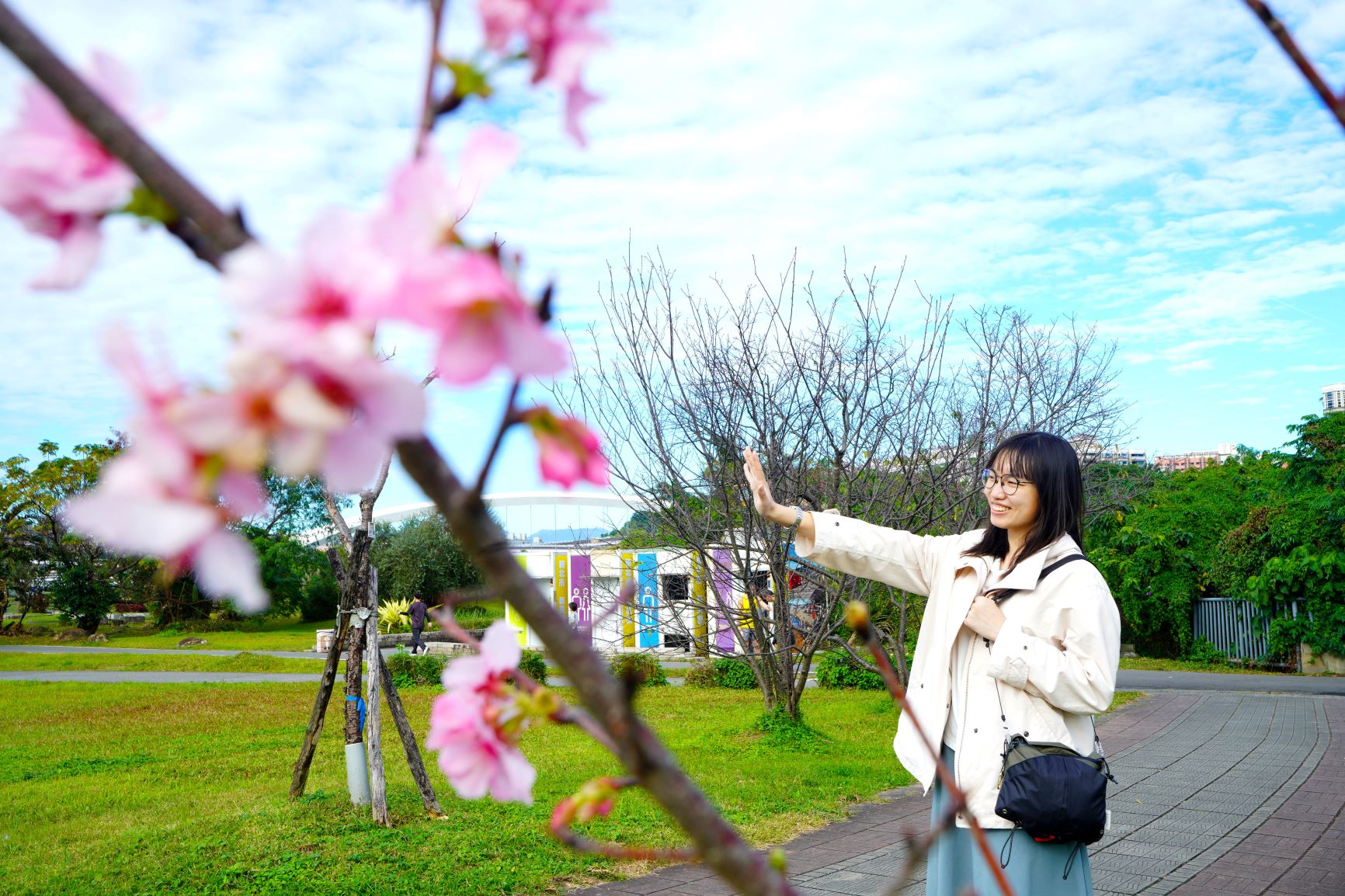 欣賞陽光運動公園粉嫩的河津櫻