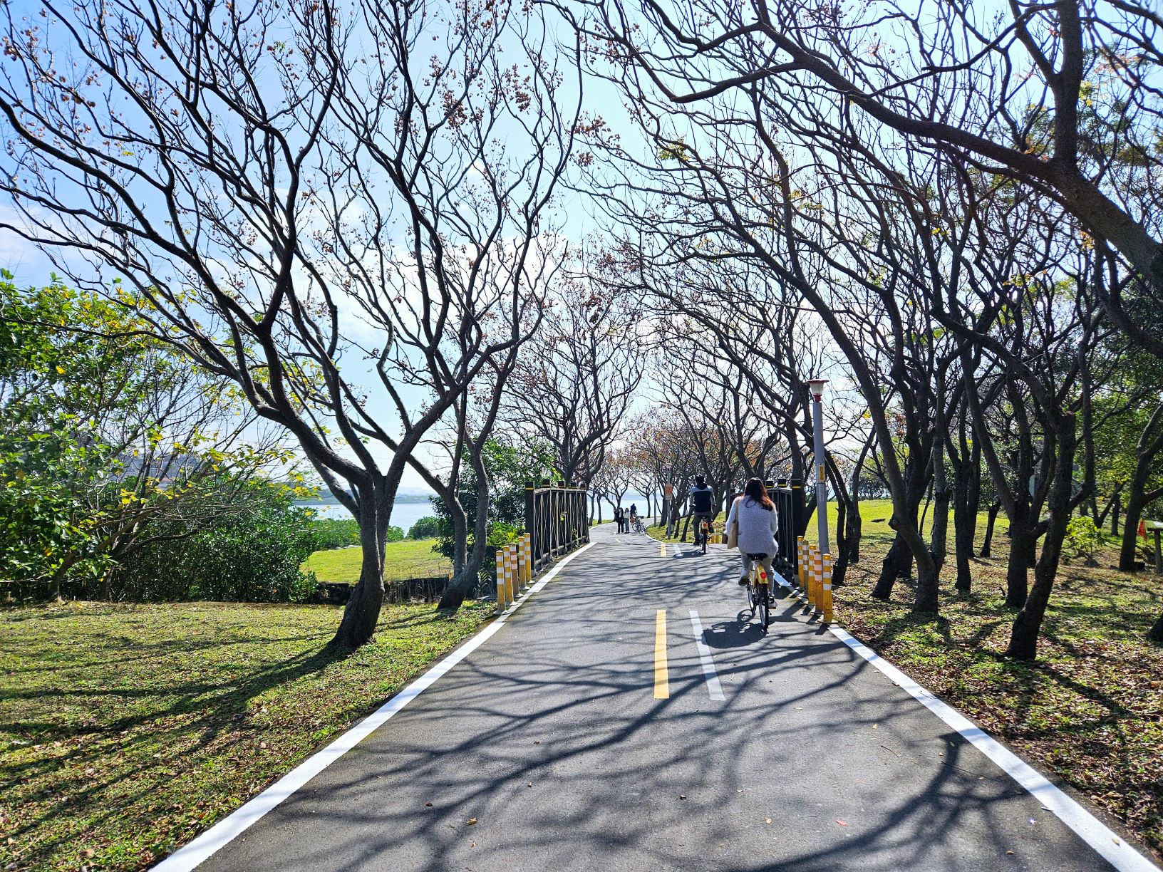令人感到心曠神怡的河濱自行車道