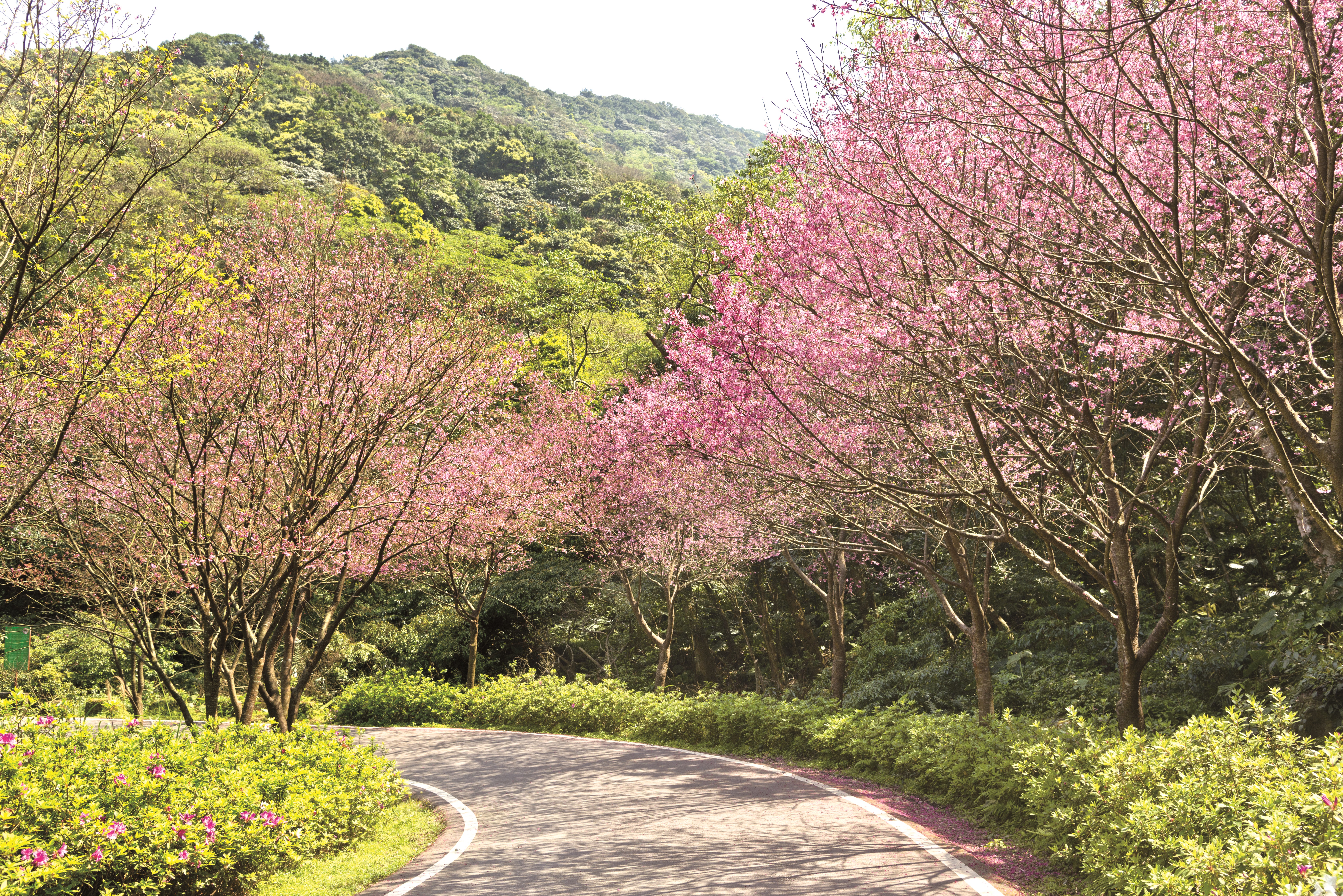 青山路3