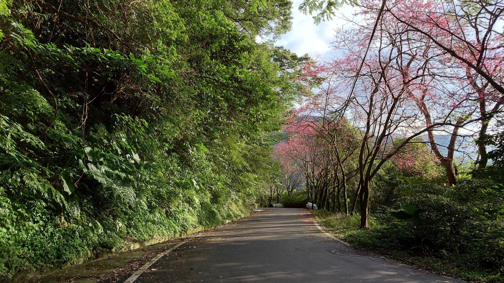 青山路4