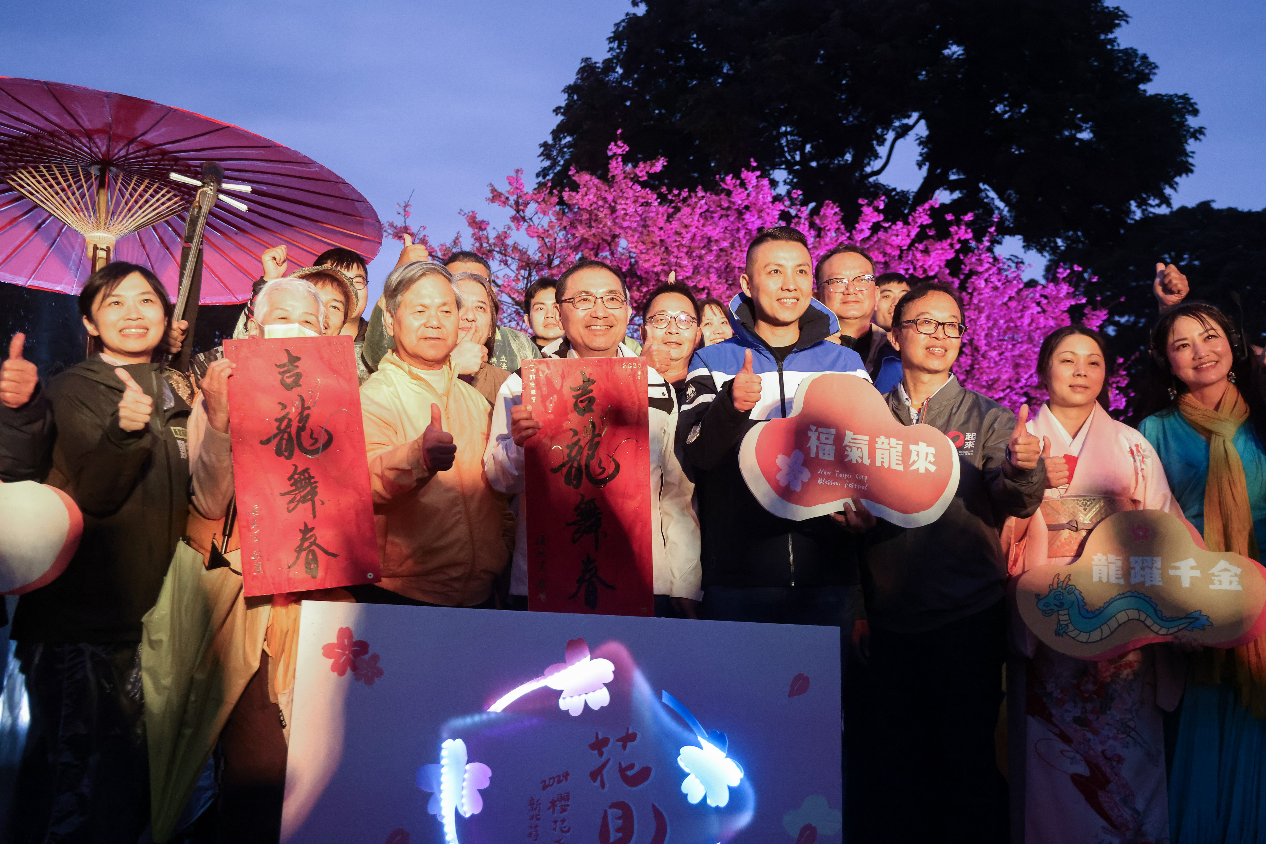 新北蒔花好綻-2024花見櫻花季