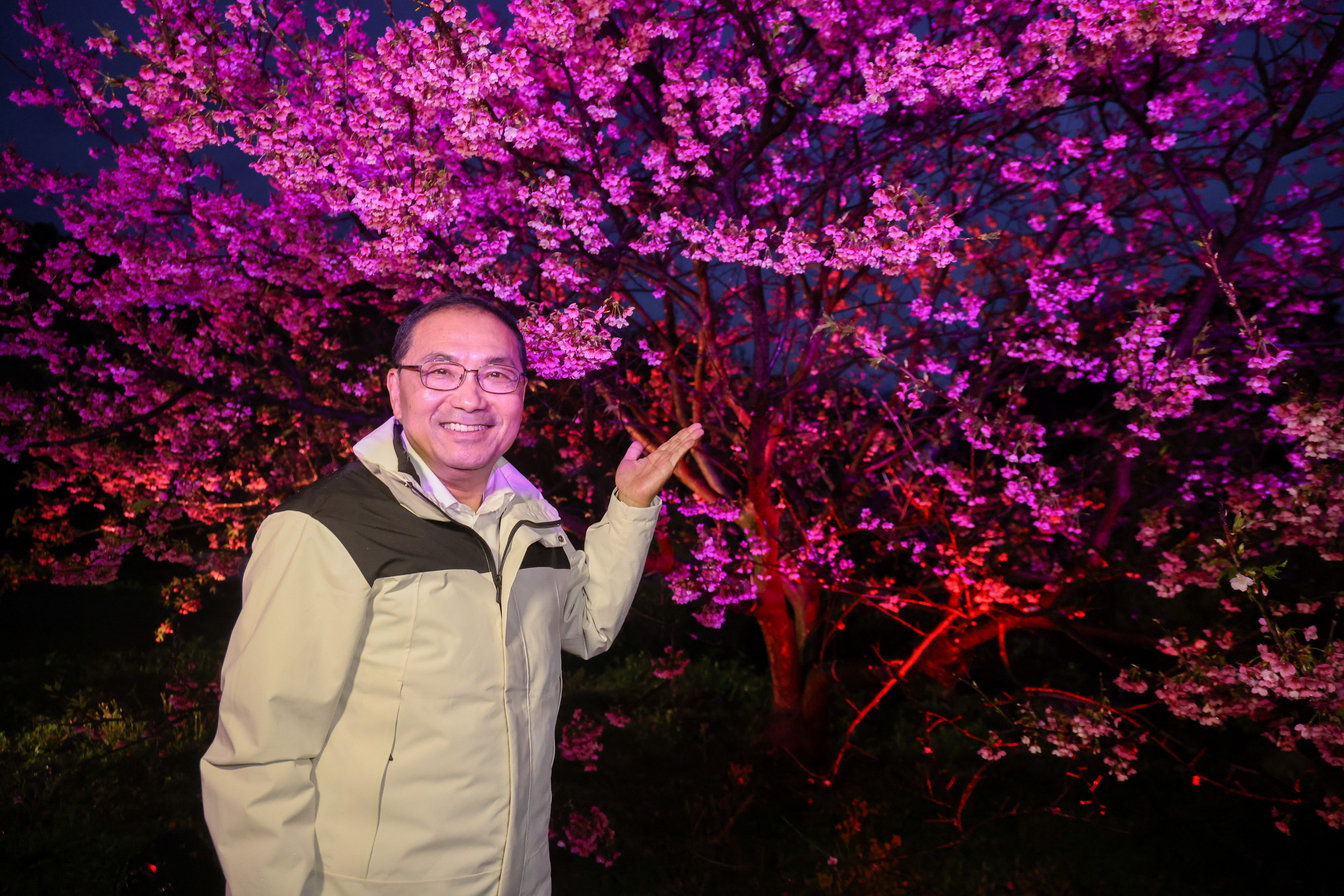 淡水天元宮夜櫻點燈，侯友宜歡迎市民朋友至新北日夜賞櫻