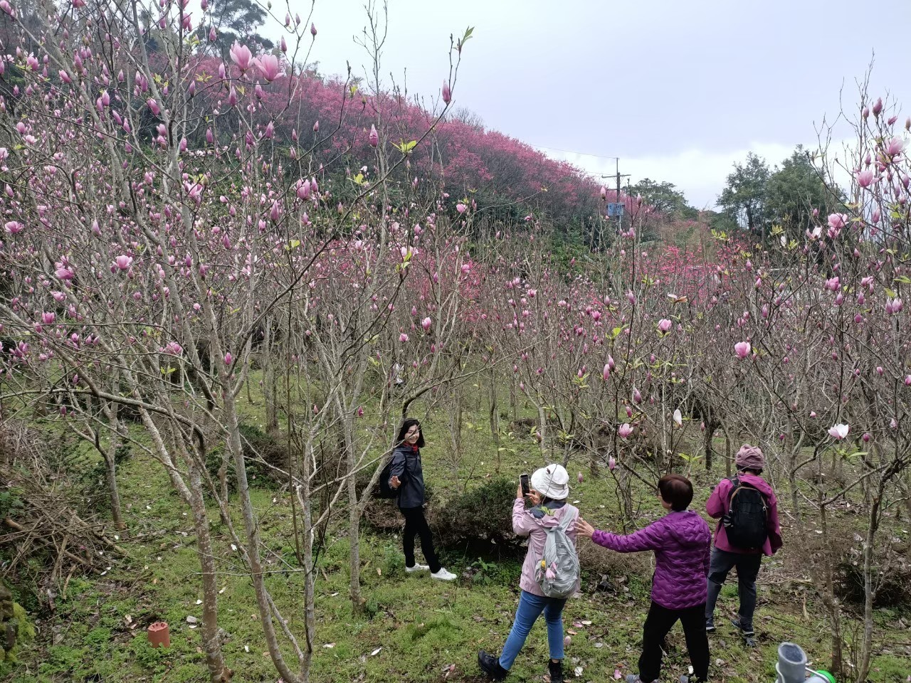  「滬尾仙境傳說 探索祕密花園」遊程 歡迎民眾朋友踴躍報名