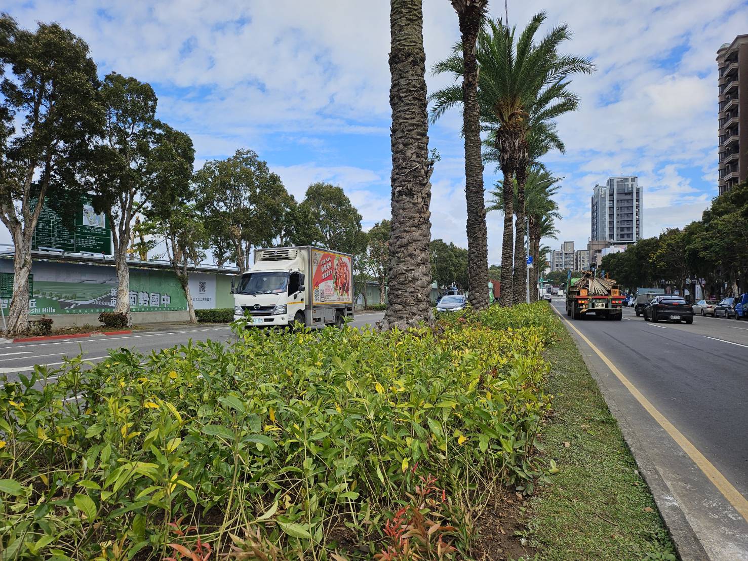 文化北路(南勢街-忠孝路)賞心悅目的中央分隔島