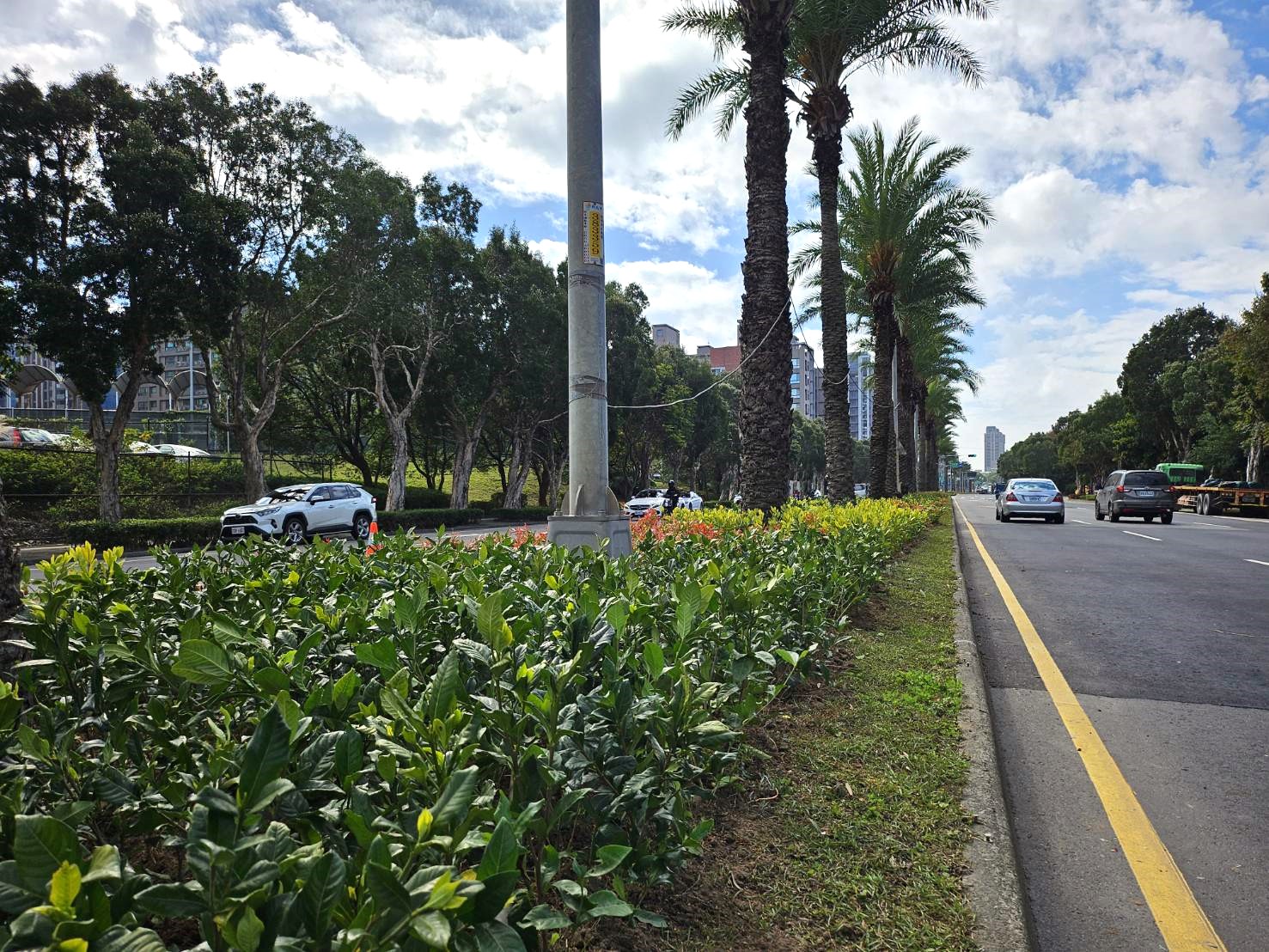 文化北路1段492巷-仁愛路2段
