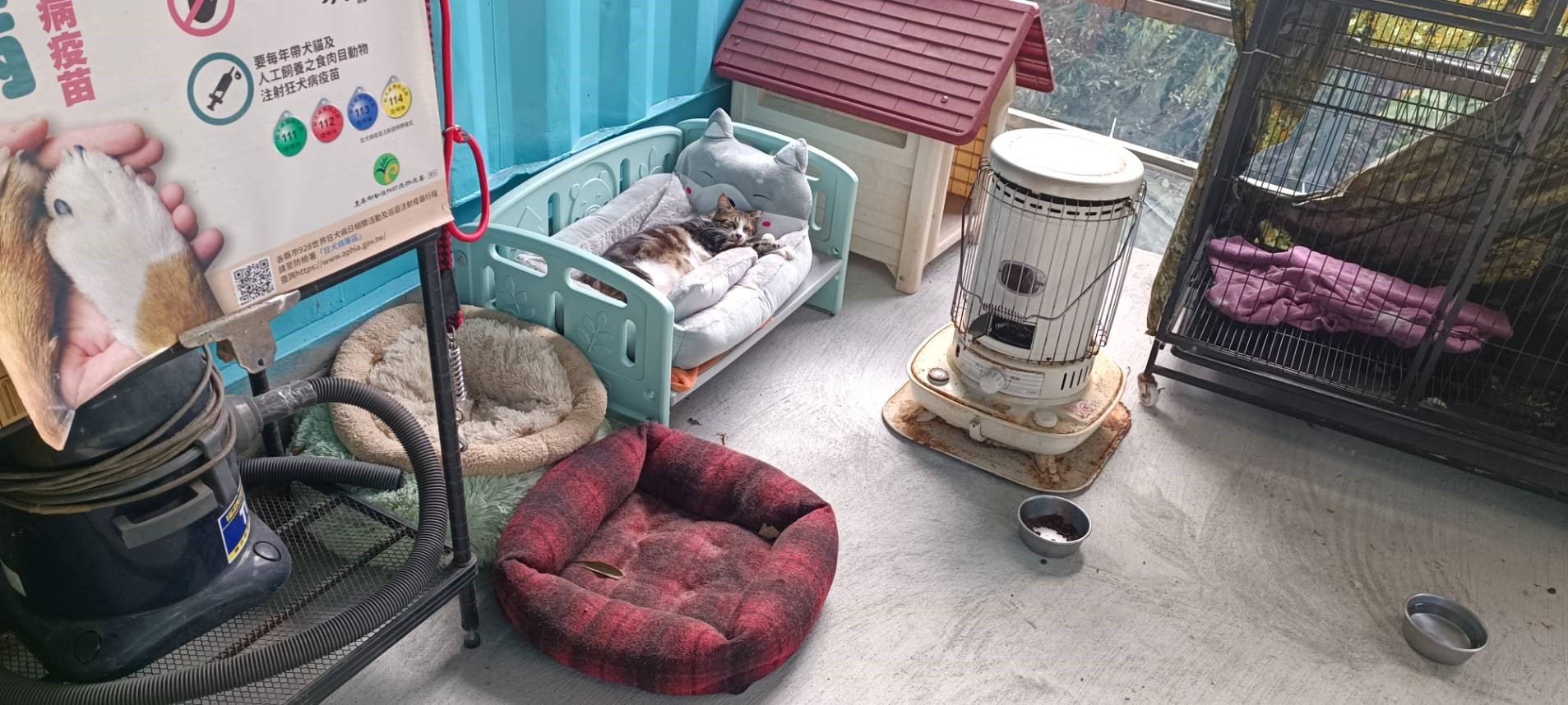 營造動物友善空間