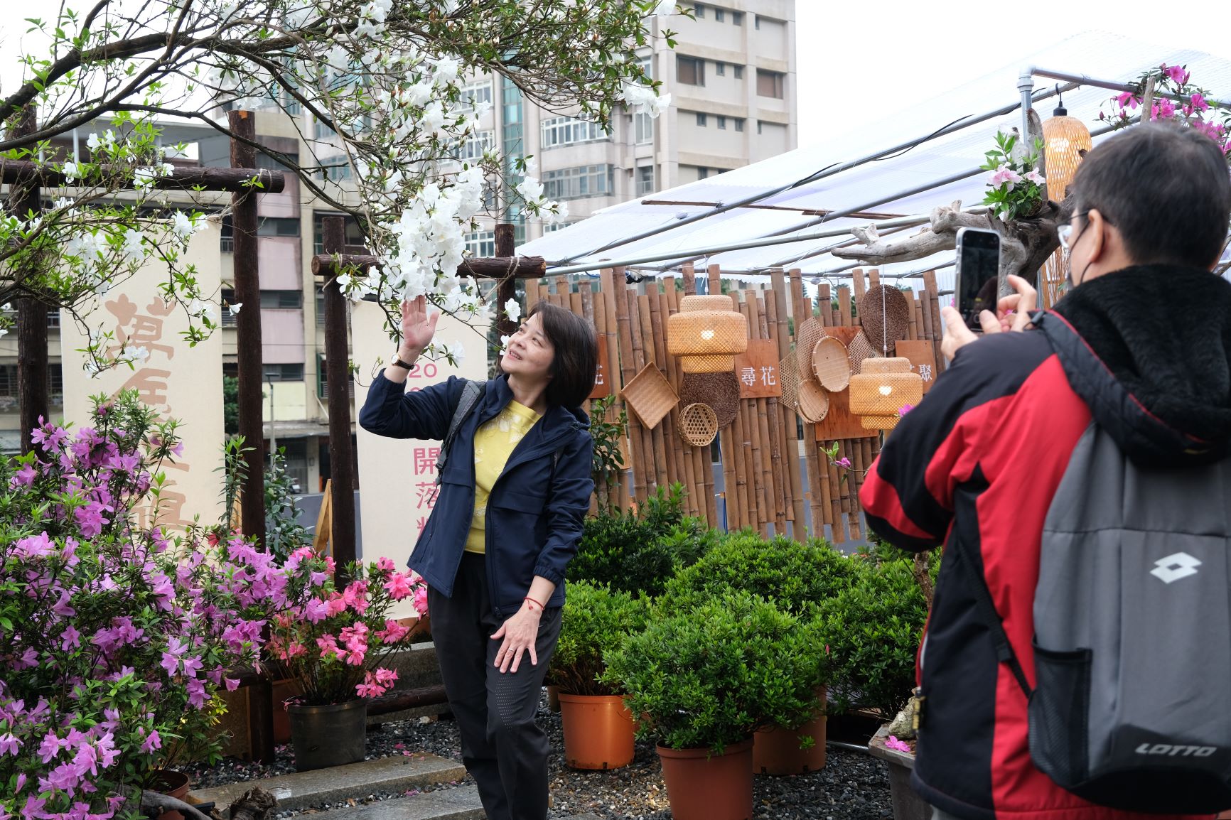  萬金杜鵑花展民眾搶拍