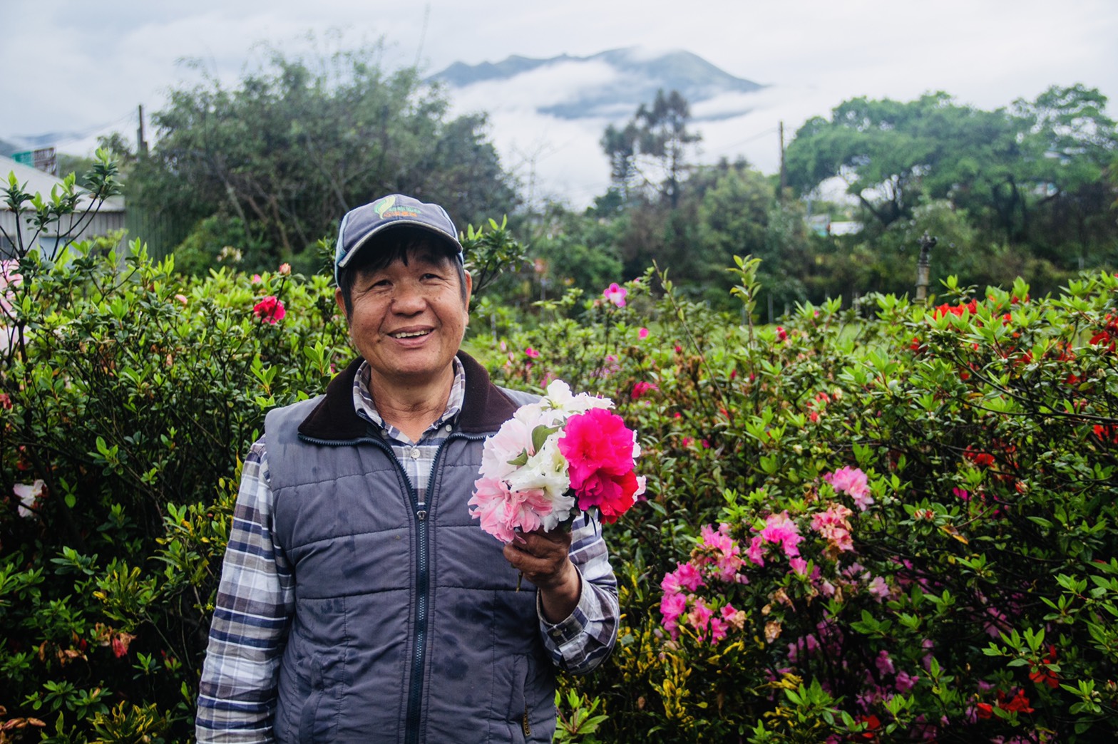 杜鵑博士萬里花卉產銷班柳枝芳班長培育300多種杜鵑