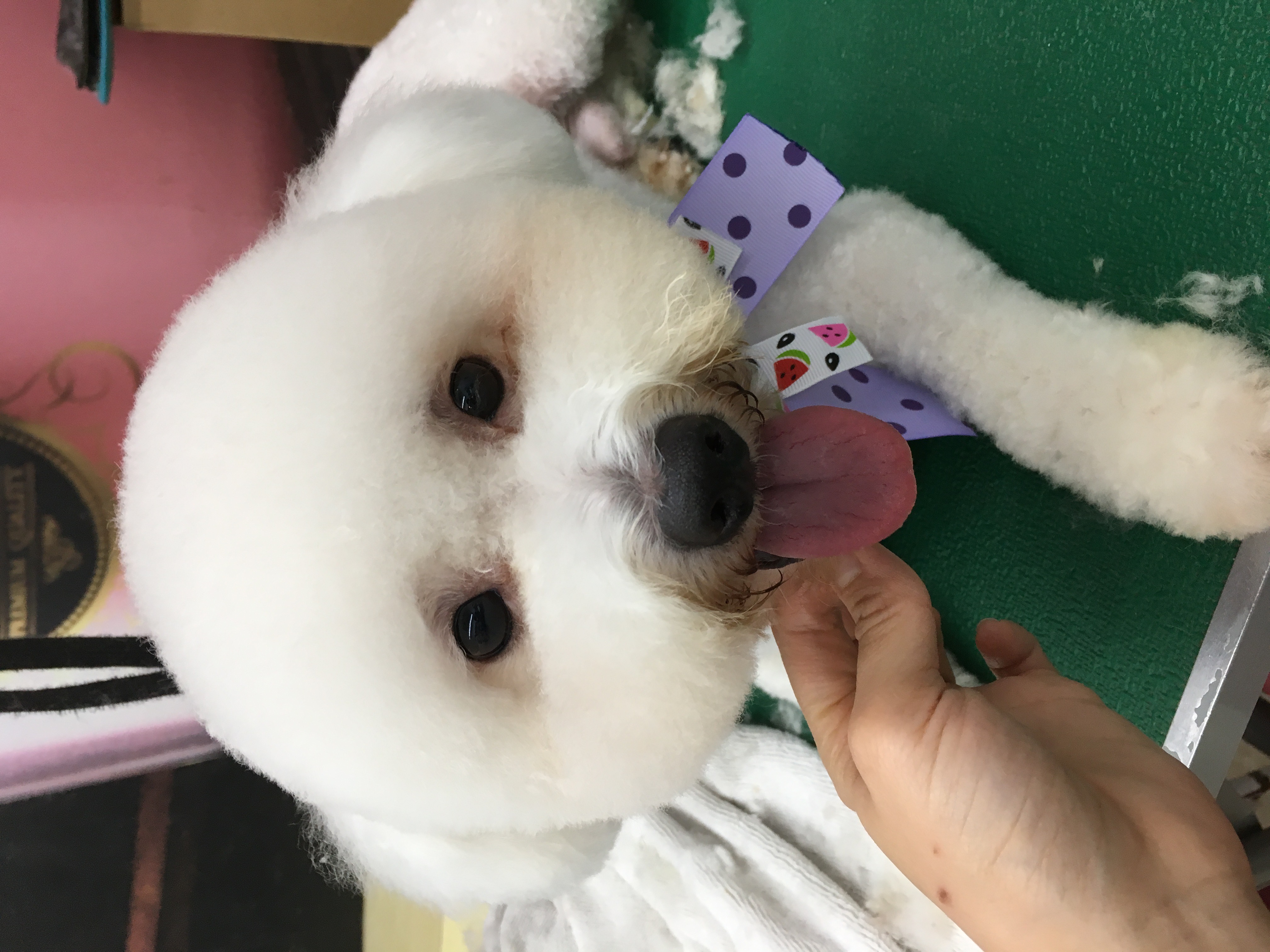 對美容後有期望中的外觀記得先與美容師討論