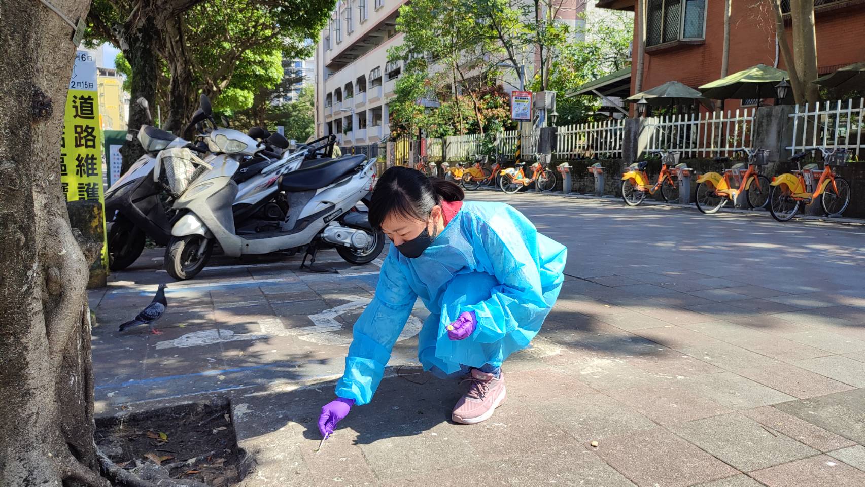 動保處獸醫師接獲民眾陳情前往採樣進行快篩