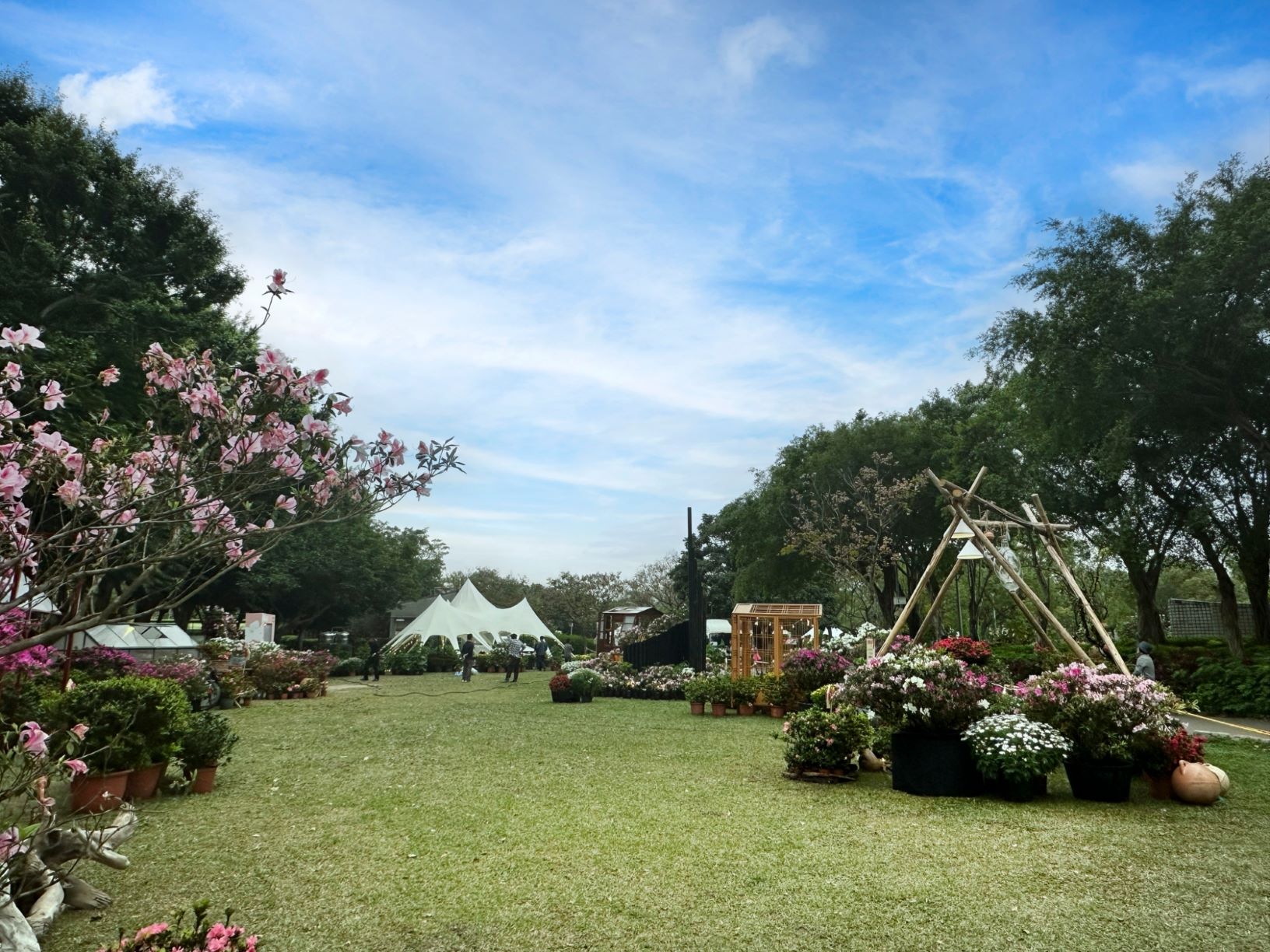  以「萬金杜鵑」為主題之年度花藝大作，3月15日起前進大安森林公園，展期將在3月24日結束