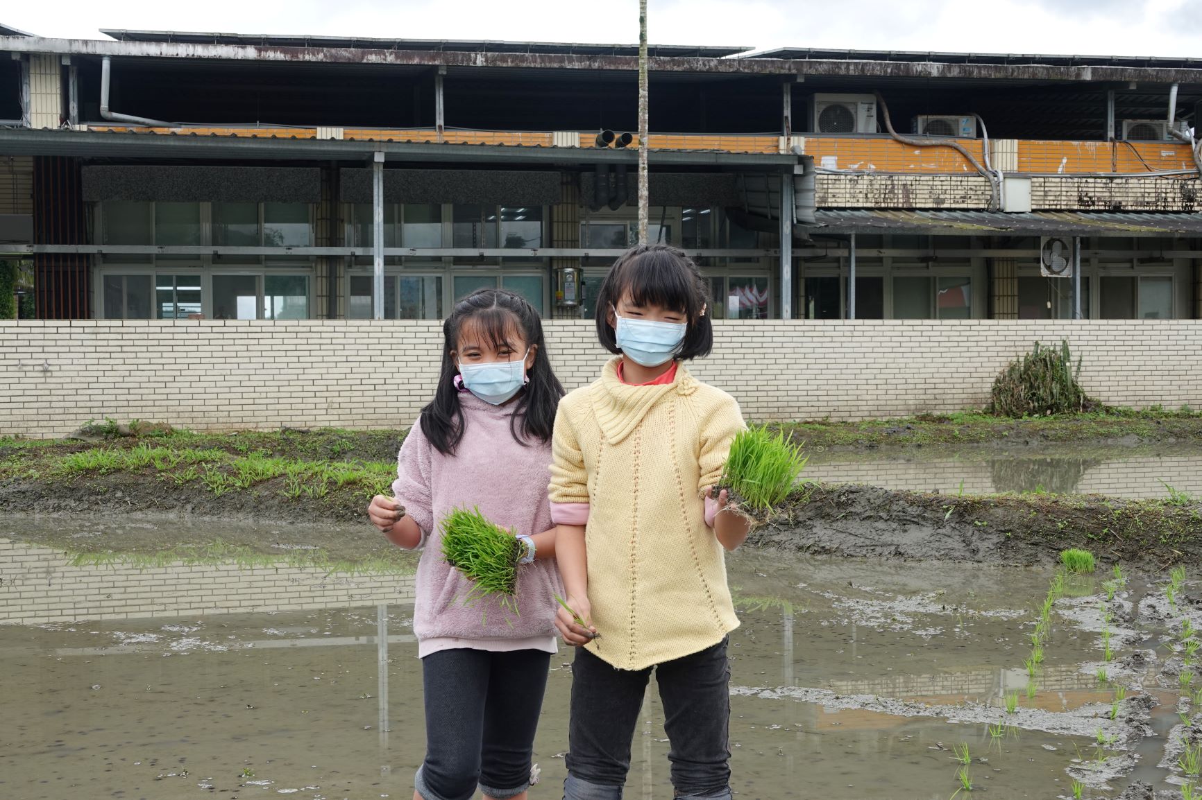  學生走出教室，親自體會農民的辛勞