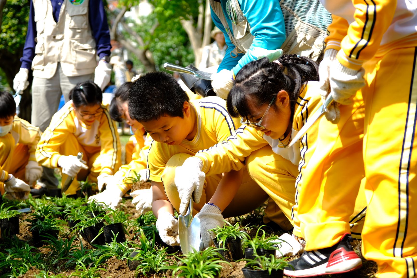  新北市以每年植樹4萬株為目標號召民間團體共同響應