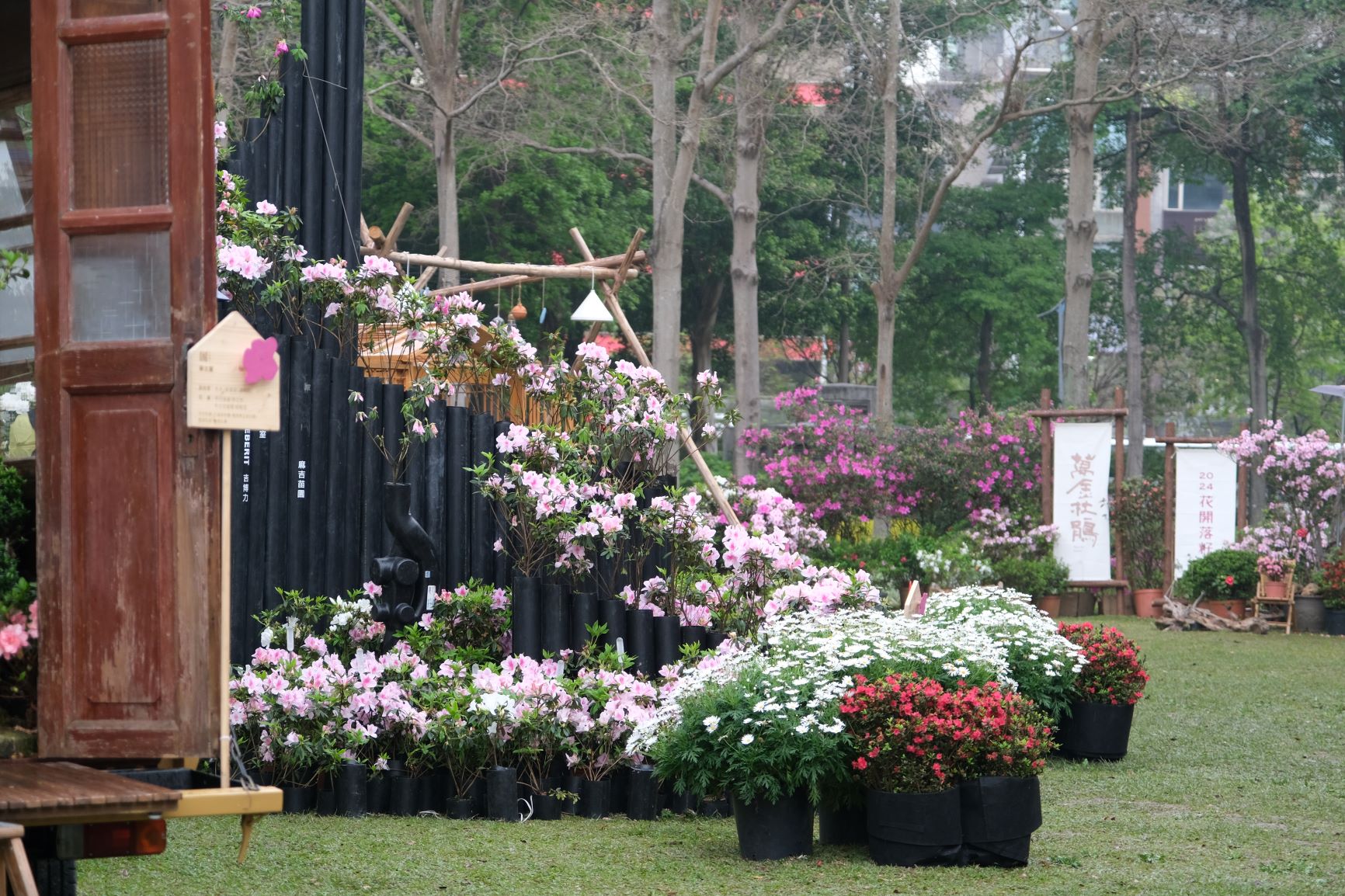  今年萬金杜鵑與台北杜鵑花季再次合作，將原在萬里瑪鋉溪畔展出的杜鵑花屋作品，移動到台北市大安森林公園展出